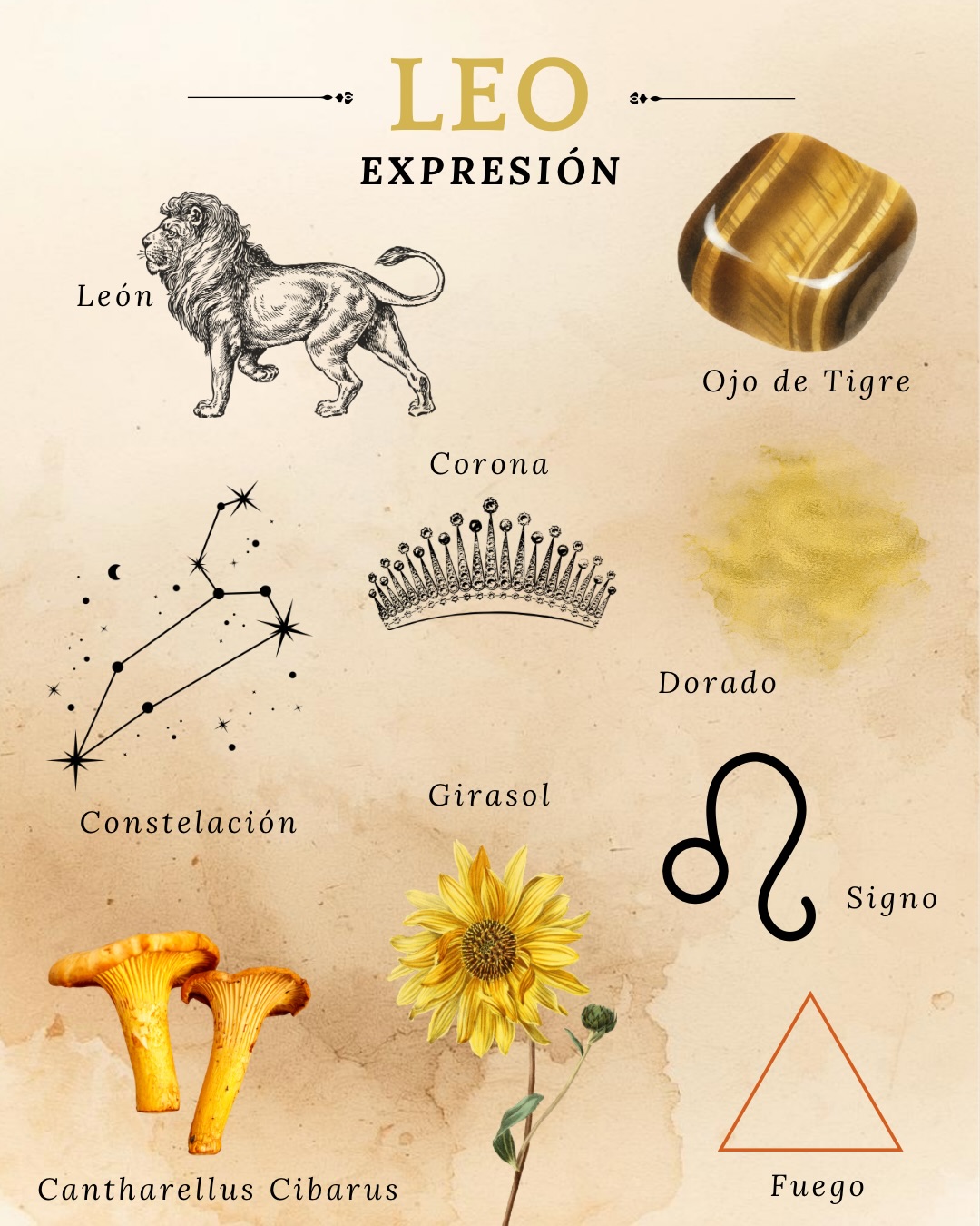 ✨Parte II✨
La energía continúa desplegándose.
Cada signo guarda símbolos que hablan de su forma de estar en el mundo.
En esta segunda parte exploramos:
♌ Leo · ♍ Virgo · ♎ Libra · ♏ Escorpio
¿Te identificas con el tuyo o descubres algo?
•
•
•
#zodiaco #leo #virgo #libra #escorpio