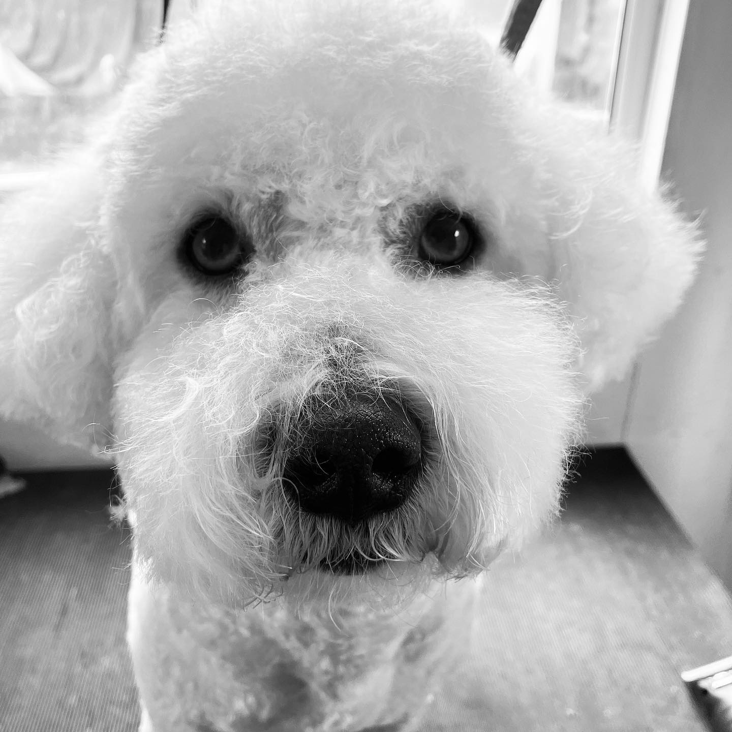 Ronald Weasley! Off on my break now so see you all in June 😃