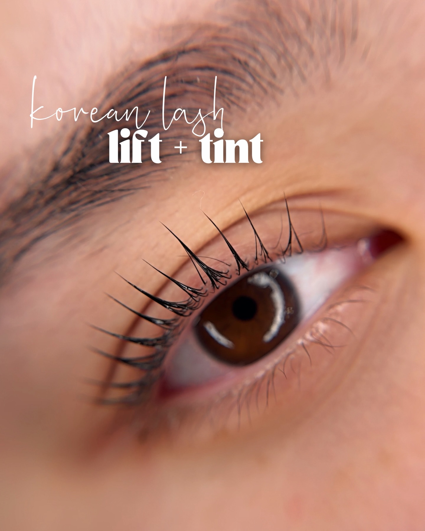 Natural, soft and exactly why this service stays on repeat ๐
A Korean Lash Lift + Tint enhances your natural lashes by lifting them from the root and adding depth with a tint โ no extensions, no glue and minimal upkeep
Comment ๐ช below and Iโll send the booking link right to you!
#lashliftmaui #lashesmaui #lashliftkahului #browsmaui #maui