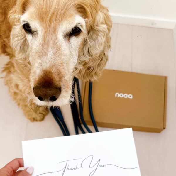 Package received ✔️
Thank-you card sniffed ✔️
Officially obsessed 🐾🤍