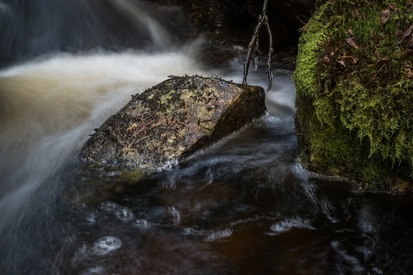 The stream in the forest.
#innature
#innaturephotos
#streamywater
#stream
#water
#rapid