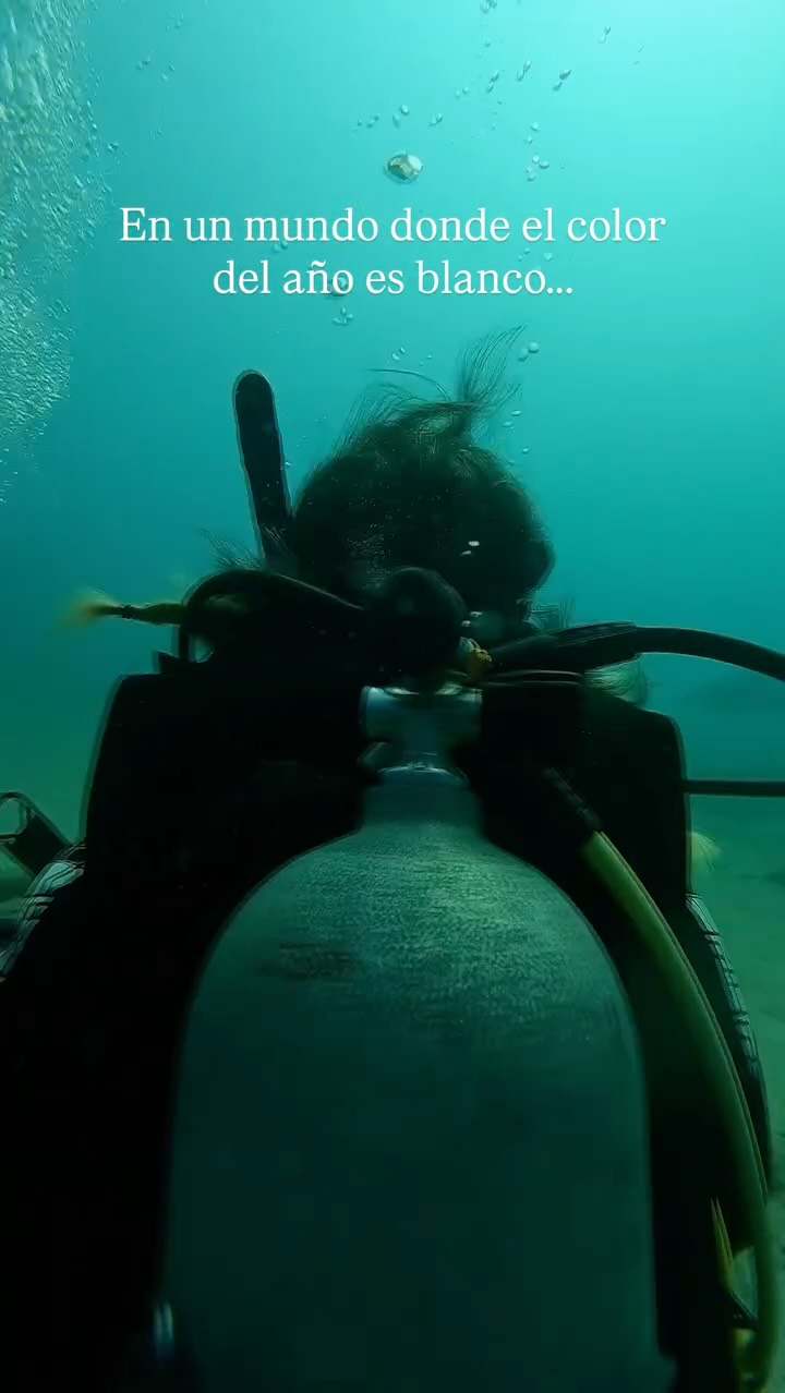 En un mundo donde el color del año es blanco, elegimos volver al origen.
De silencio bajo el agua, de respiraciones conscientes, de miradas que cambian después de sumergirte. 🫧
Este reel guarda fragmentos de uno de nuestros retiros de scuba, pero el mar se vive de muchas formas: explorándolo, observándolo, cuidándolo, compartiéndolo. 🤿 ¿Quieres conocer las posibilidades que tenemos para ti?
— ENG —
En un mundo donde el color del año es blanco, elegimos volver al origen.
De silencio bajo el agua, de respiraciones conscientes, de miradas que cambian después de sumergirte. 🫧
Este carrete guarda fragmentos de uno de nuestros retiros de buceo, pero el mar se vive de muchas formas: explorándolo, observándolo, cuidándolo, compartiéndolo. 🤿 ¿Quieres conocer las posibilidades que tenemos para ti?
-
-
-
-
-
ballenas jorobadas, avistamiento responsable, los cabos, baja california sur, temporada de ballenas, vida marina, conservación oceánica, proyecto cetáceo, cantos de ballena, breaching, sea safaris, snorkeling, diving, freedivers, snorkel en Los Cabos, whale watching