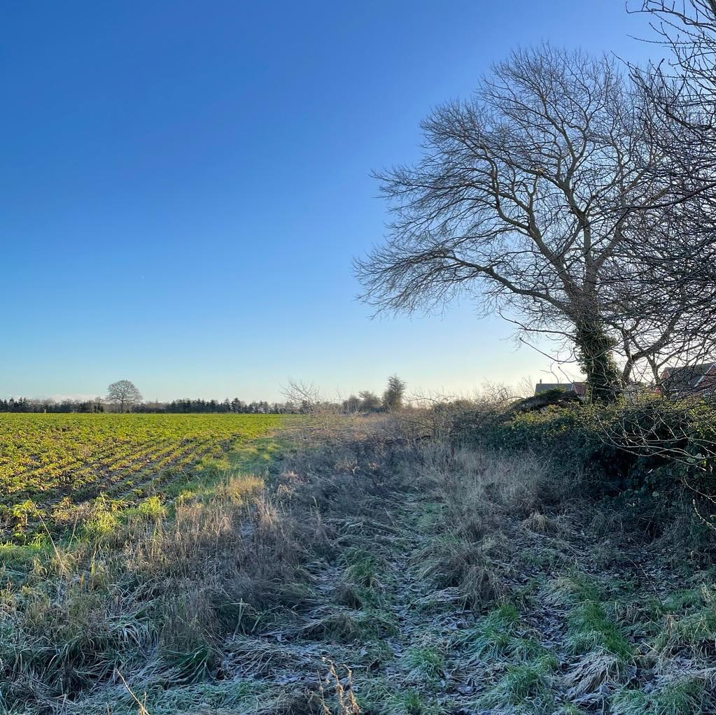Well, it’s certainly been cold the last few days. Our morning and lunchtime walks have been brisk, hoping that speed will keep our bodies warm. But it’s been worth getting outside: blue skies, bright sunshine and crisp landscapes.
.
.
.
.
.
.
#englishwinter #embracingtheseasons #tree #field #suffolkskies #thiscornerofsuffolk #suffolk #suffolkcountryside #onmywalk #rurallandscape #winterwalk #earlymorning #slowliving