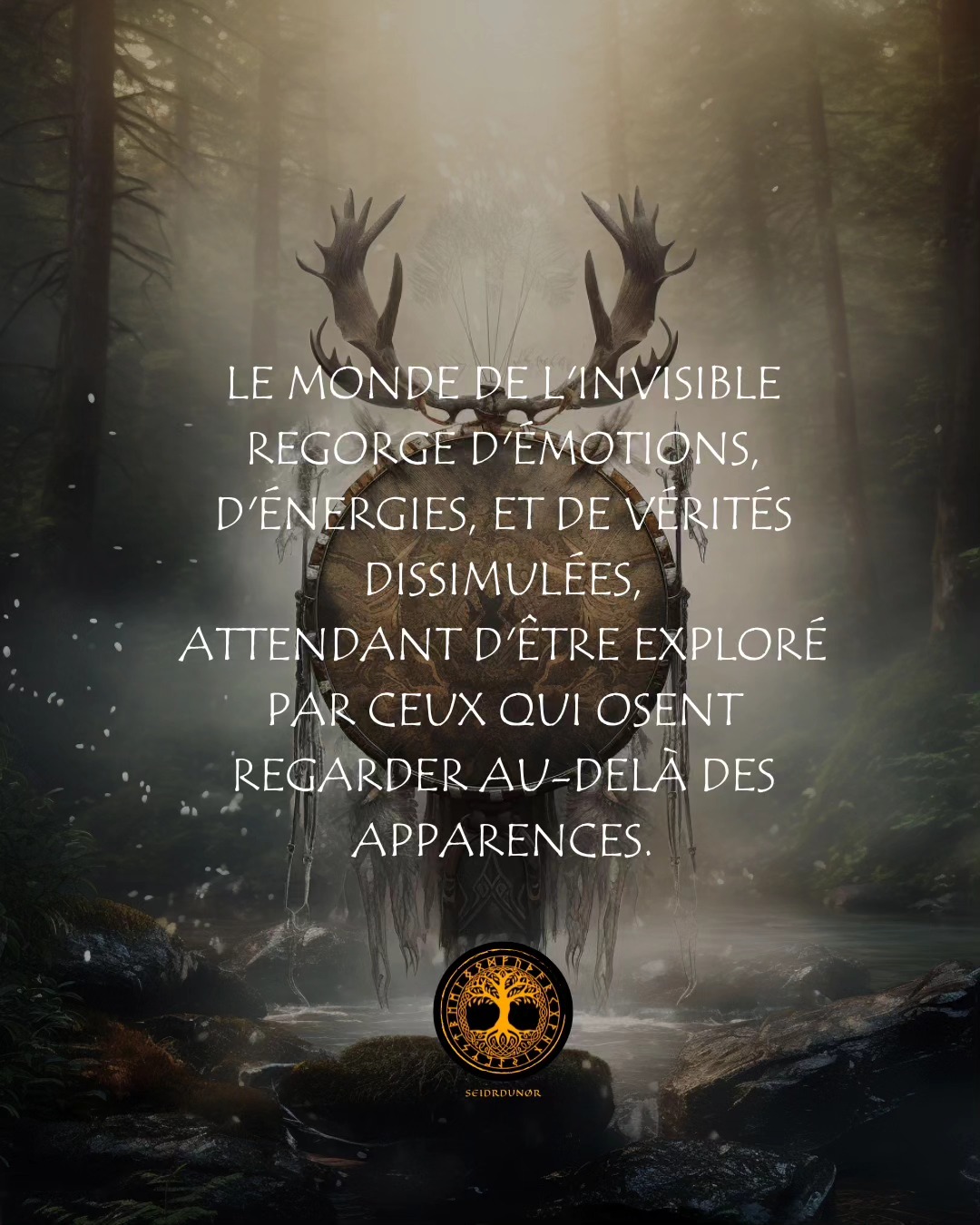 Voir au-delà du monde physique est à la portée de tout le monde, encore faut-il avoir envie de se reconnecter à sa vraie nature et de laisser le monde matériel derrière soi le temps de ce voyage.
#connexionnature #connexionspirituelle #pouvoirdelanature #reveletapuissance #spiritualitédécomplexée #mondeinvisible #univers #chamanismeceltique #chamanismenordique #mondesubtil #changement #decouvertedesoi #guerison #guidespirituel #lâcherprise #mieuxvivre #prendresoindesoi #pouvoirpersonnel #chamanisme #artdevivre #prisedeconscience #soinsenergetiques #devperso #sagesse #suisseromande #bulle