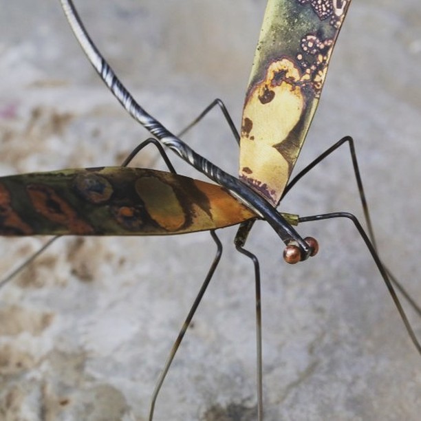 i n s e c t | stainless steel | bronze | copper
camara.nafplio.greece
#camaraworkshop
#nafplio #jewelry #art
#designjewelry
#handmadejewelry
#jewelrystore