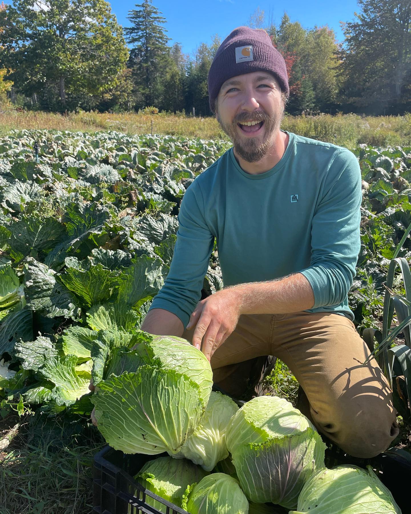 Farm manager Jeremy excited about our first Deadon Semi-Savoy Cabbage harvest of the season. These beauties will be available at the Saturday Farm Stand tomorrow Oct 1st 10-12pm. Second to last farm stand of the season!
📷 @jamieson.on.the.rocks
#deadoncabbage #fourseasonfarmstand #fourseasonfarm