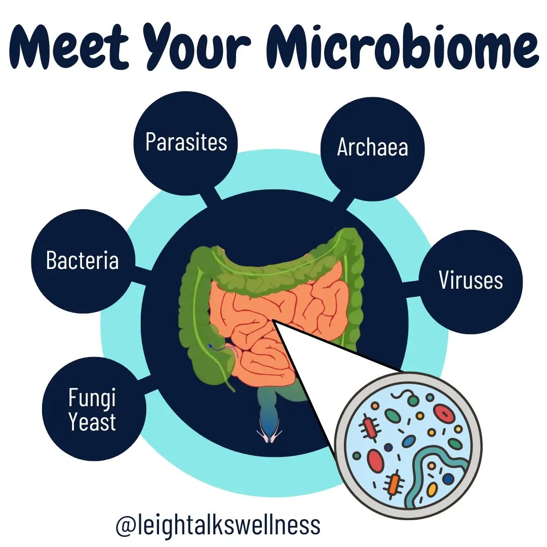 The microbiome is all the living microorganisms that live around us, on us and inside of us. Where we scale it down to:
▪️Gut microbiome
▪️Skin microbiome
▪️Oral microbiome
▪️Vaginal microbiome
▪️Humans part of the microbiome of earth
There are various types microorganisms; bacteria, fungi/yeast, parasites, archea and viruses.
Bacteria - single-celled organisms
Yeast/fungi - Multicellular organism which have a nucleus and other organelles.
Viruses - Tiny particles made up of DNA or RNA, no cell.
Parasites - Stealing energy from hosts and are trying to remain undetected
Archea - Ancient organisms, which means they are resilient!
🔸️We have been conditioned to believe these microorganisms are harmful to us and can cause disease. Example E. Coli or C. Diff. There are bad guys, good guys and disease occurs when there is an imbalance to our microbiome.
✅️ The last 5-10 years there has been a lot research being done on the microbiome. Evidence has shown that microorganisms play an important role in our health.
#guthealthy #guthealth #guthealthiswealth #guthealthmatters #gutmicrobiome #guthealthiseverything #microbiota #microbiome #gutbrainaxis #gutbrainconnection #gutmicrobiome #guthealthtips
