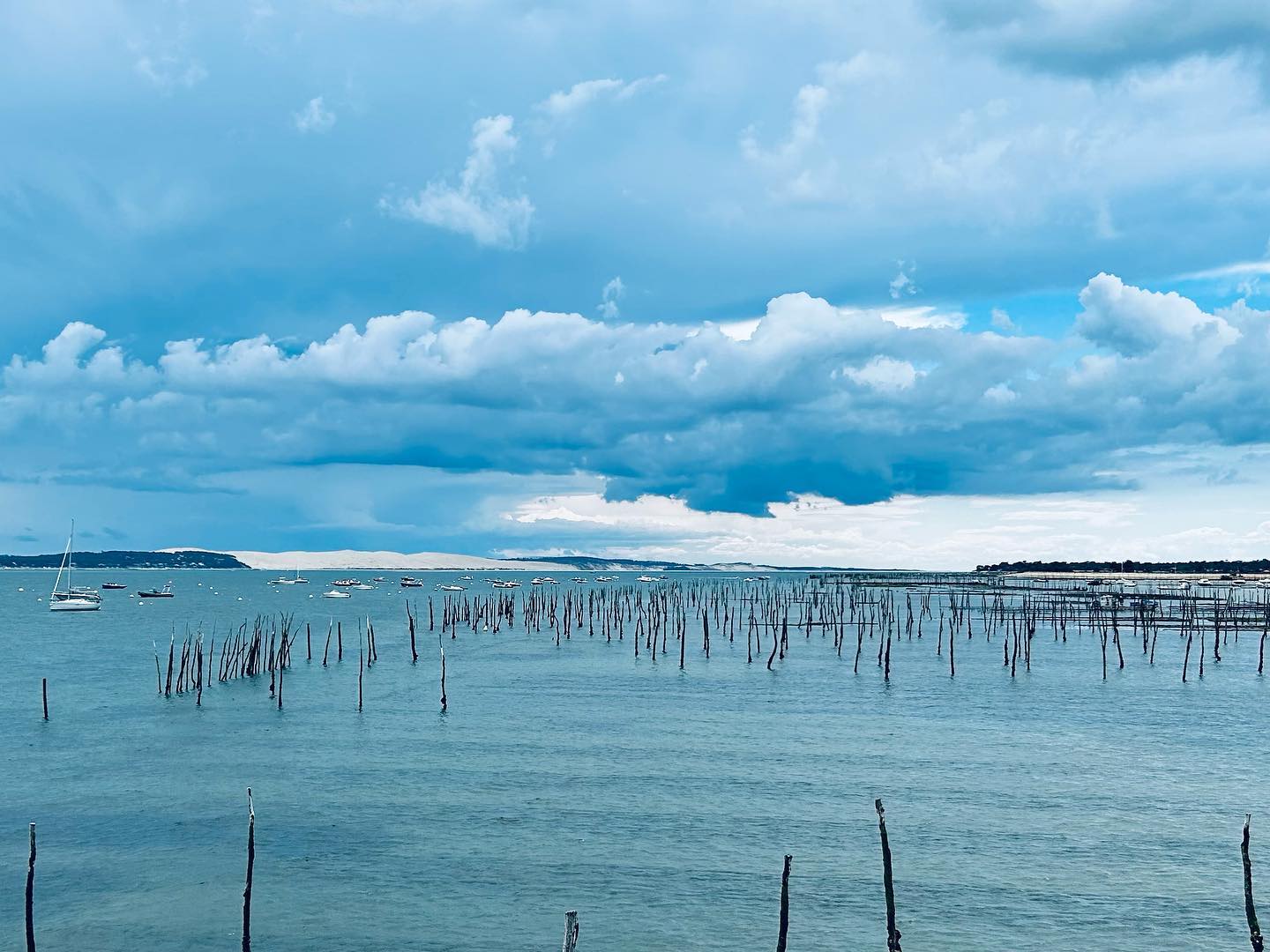 The beauty of the bay of Arcachon ! View from Cap Ferret. Natural & peaceful. Love being here - even if only for the day! A mere hour from #bordeaux #capferret #lebassindarcachon #bayofarcachon #legecapferret #paradise #capferretaddict #gironde #nouvelleaquitaine #sudouest #soutwestfrance #france #capferretmonamour #lovaquitaine