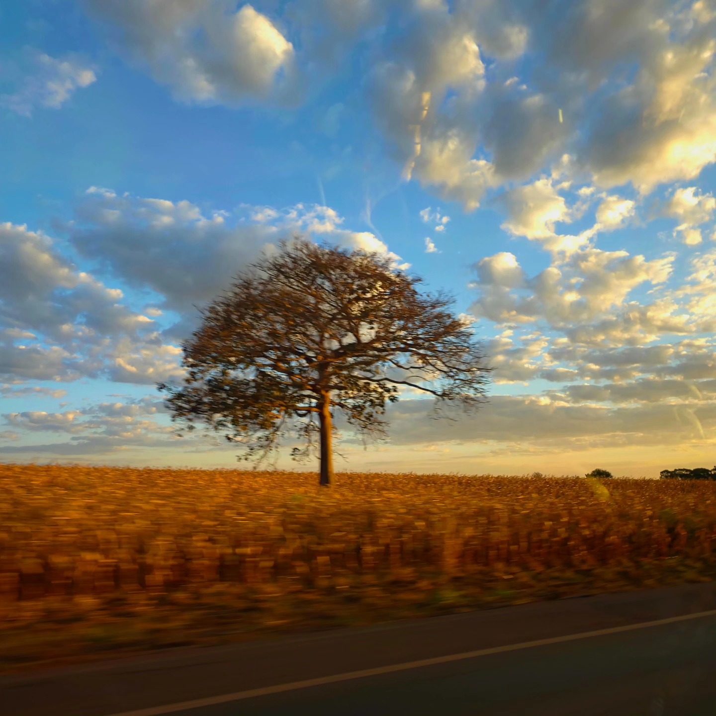 O tempo não passa,
O tempo voa.
Enquanto ele avança, a vida sopra.
Não perca tempo,
Não perca o tempo,
O tempo para,
A vida começa.