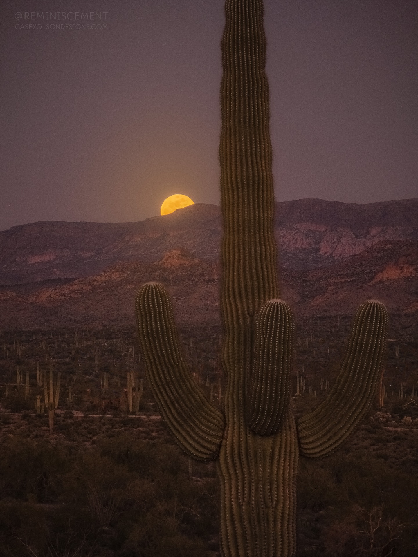 Please rememberโฆyou are magic. You are worthy of everything good the world has to offer. โจ๐
Full moonrise last night was mighty purdy coming up over that mountain range. ๐๐
Who has chased a full moonrise? The feeling you get when it starts peeking out canโt be matched, right? ๐