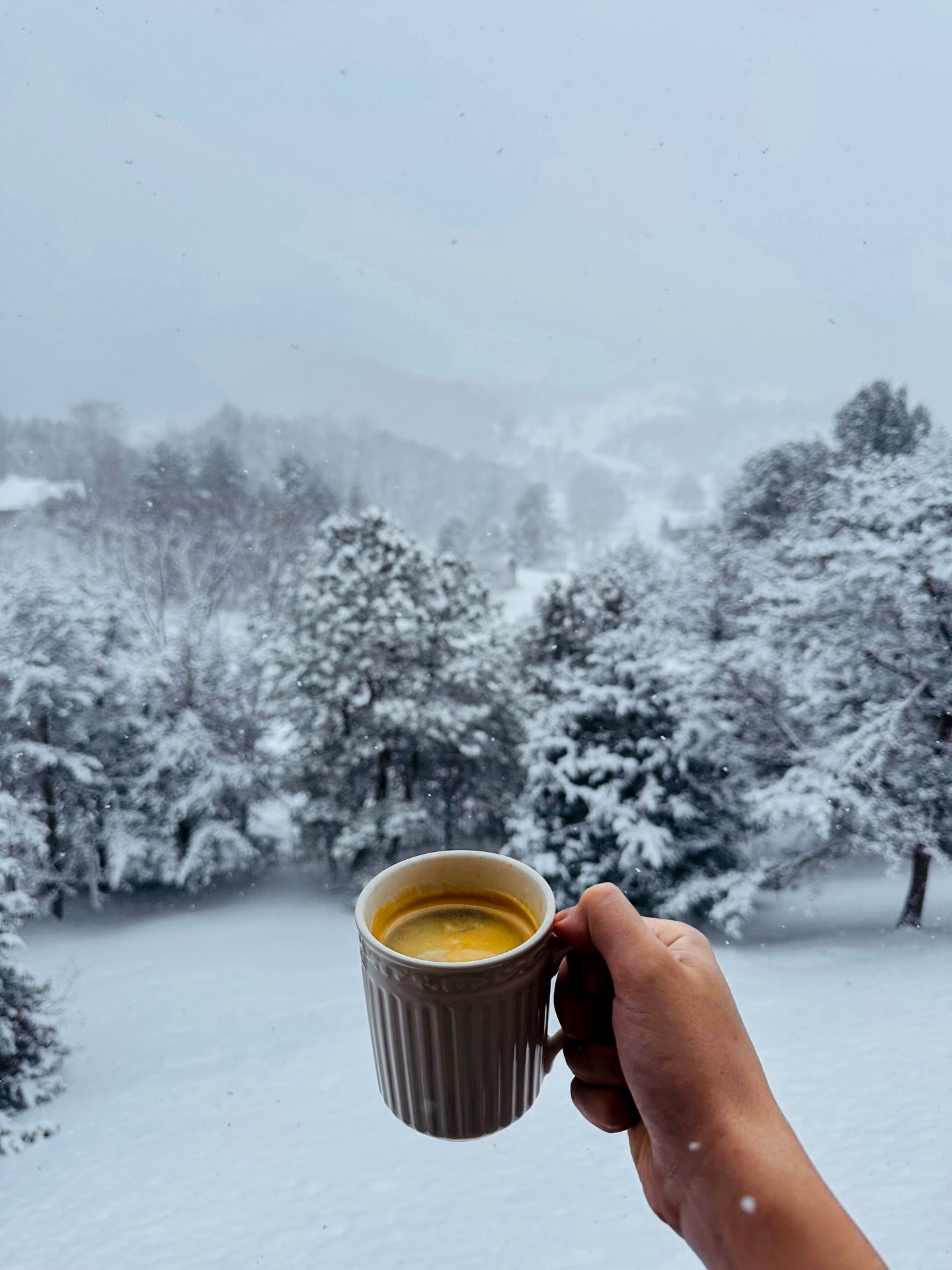 Coffee tastes better when the world is this quiet ❄️☕
Snow day views from the cabin.
📍 GIOIA Lodge
#GIOIALodge #SnowDay #CabinVibes #MountainMorning #WinterMood CozyLife NatureLovers