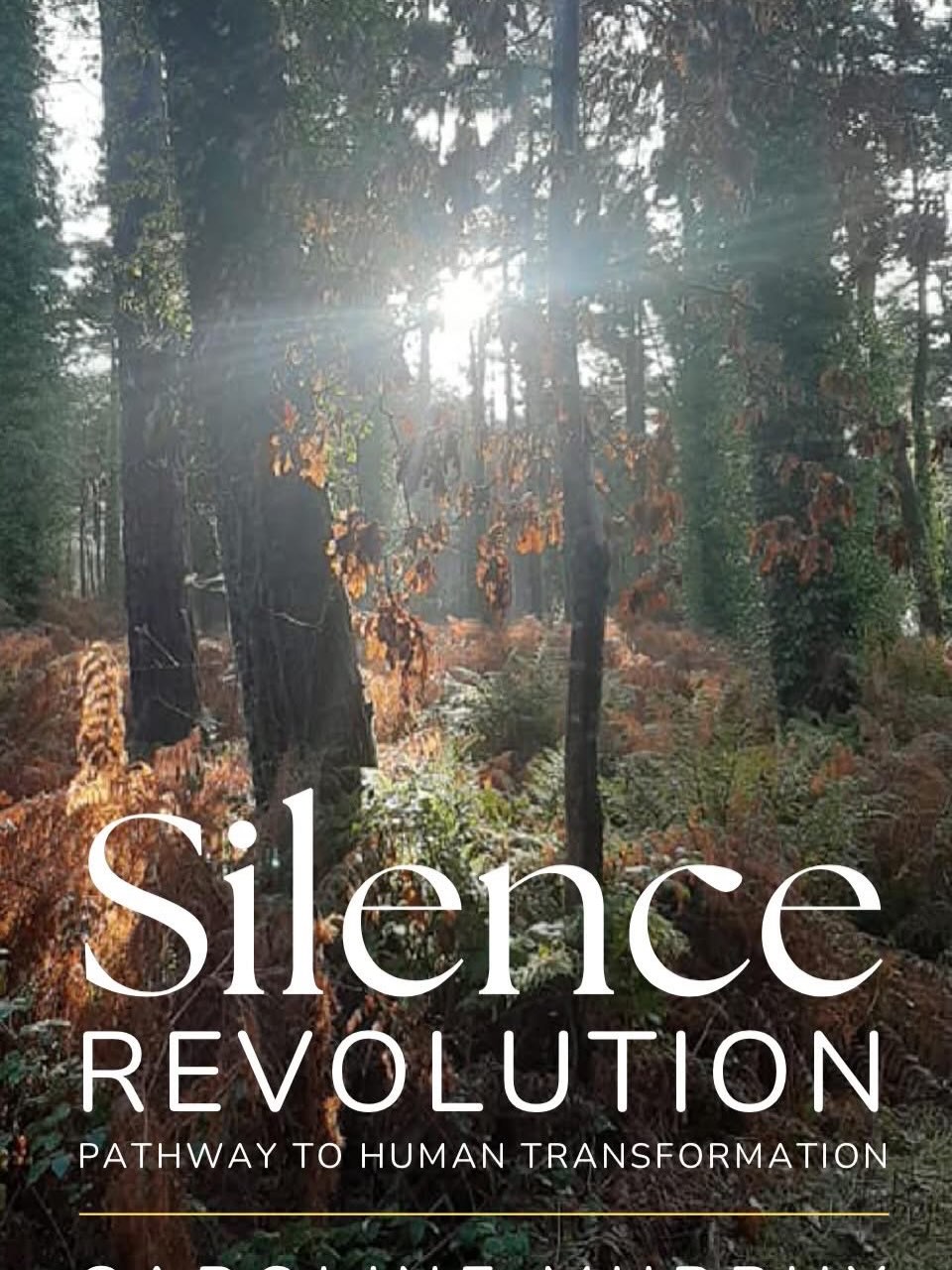 It’s time for…
A Silence Revolution
Not a rising up, but a turning inward.
Like a baby my third book is due to born on March 3, 2026.
It’s simply an invitation to...
Step into stillness and let life speak.
In a world growing louder by the day, this book invites you to pause, breathe, and reconnect with the true intelligence that flows within. Through silence, reflection, and mystical insight, it offers clarity, guidance, and a path to inner peace, personal transformation, and spiritual awakening.
Sit.
Breathe.
Listen…
Rediscover simplicity, presence, and the gentle wisdom of life itself. Whether you are seeking mystical insight, spiritual growth, or a deeper connection with yourself, this book is a companion for moving through life with clarity, grace, and awareness.
This book has been waiting patiently for its moment for the world to grow loud enough to make silence precious. Now its time has come.
Dedicated to my Grandfather Richard Whelan and Uncle Captain Sean Whelan RIP.
Thank you for showing me the way.
Embrace the wisdom of silence, and join me as this long-awaited book finally enters the world.
With love
Caroline
Front cover image by my Uncle Sean Whelan
The Raven Nature Reserve, Curracloe, Co. Wexford, Ireland.
#SilenceRevolution #MysticalWisdom #InnerPeace #SpiritualGrowth #TrueIntelligence MindBodySpirit Stillness PersonalTransformation Reflection Contemplation