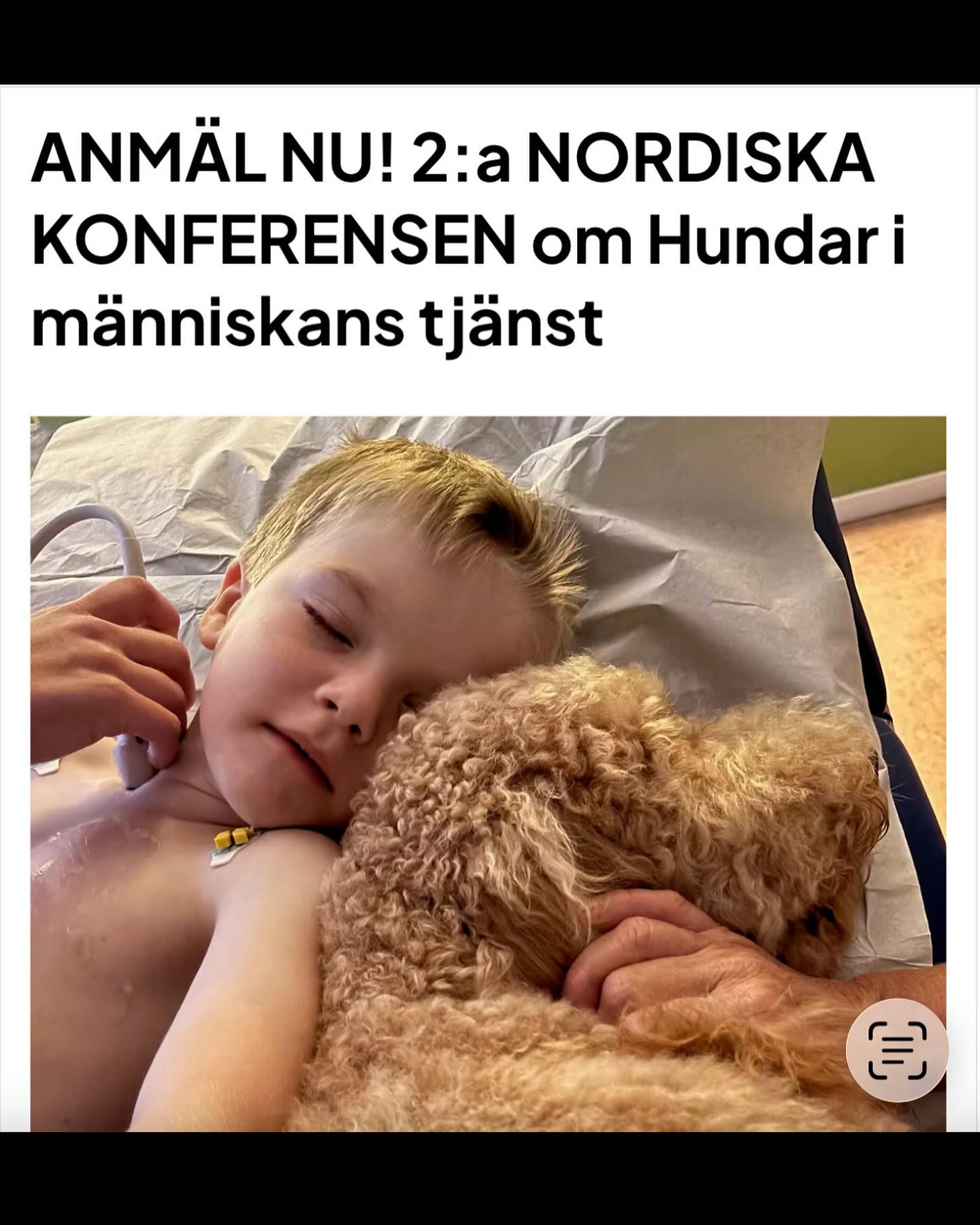 Anmälningslänk på www.sjukhushund.se (och i bio) till Sjukhushund®-konferensen 17 mars 2026 på Svenska Läkaresällskapet👍🐶 #sjukhus #hund #sjukhushund #hospital #dog #hospitaldog #konferens #conference #läkare #chef #politiker #sjukvårdspersonal #hygien