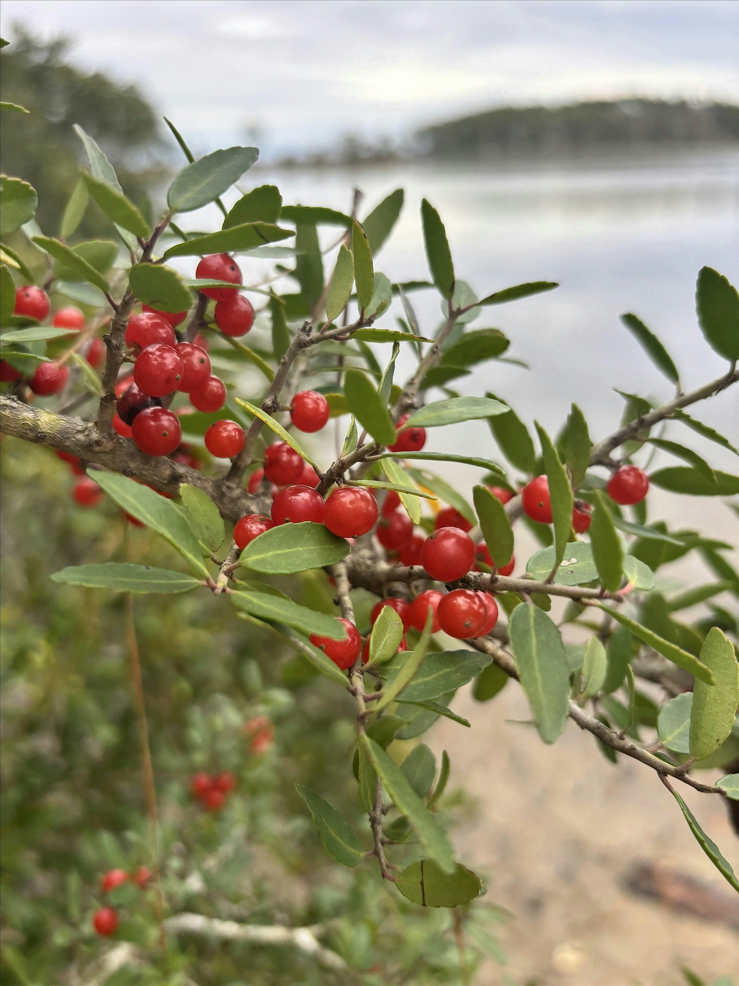 Join us for a relaxing nature trail walk on Monday, February 16th at 2:00 PM. Embrace the outdoors and unwind with a leisurely stroll along a scenic 1-mile trail. Don't miss out on this perfect opportunity to connect with nature! #30aNatureConnection #NatureTrailWalk #GetOutside #NatureLovers #LinkInBio