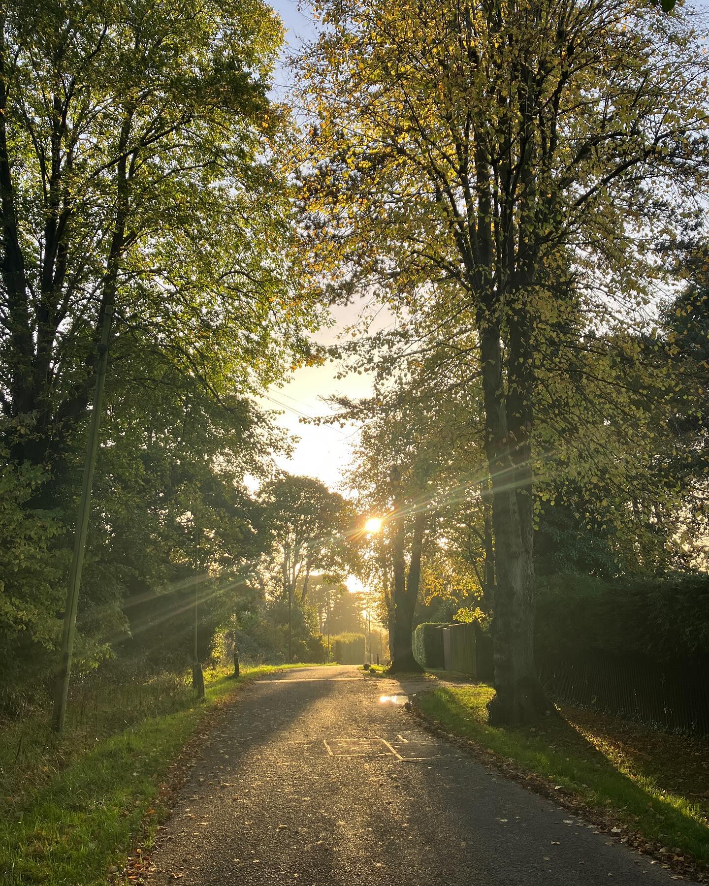 イギリスはすっかり秋模様🍂妻と一緒に週末、家の周りをウォーキング。お決まりの1時間強の道のりを歩きリフレッシュ。日本語では森林浴って言うんだよと教える。その他に海水浴、日光浴、入浴という言葉を教える。なんだか日本語レッスンになってしまった😂1万歩歩いたので良しとしよう。
#森林浴 #日光浴 #秋 #海水浴 #入浴 #日本語レッスン #チェルトナム #イギリス #コッツウォルズ #週末 #ウォーキング