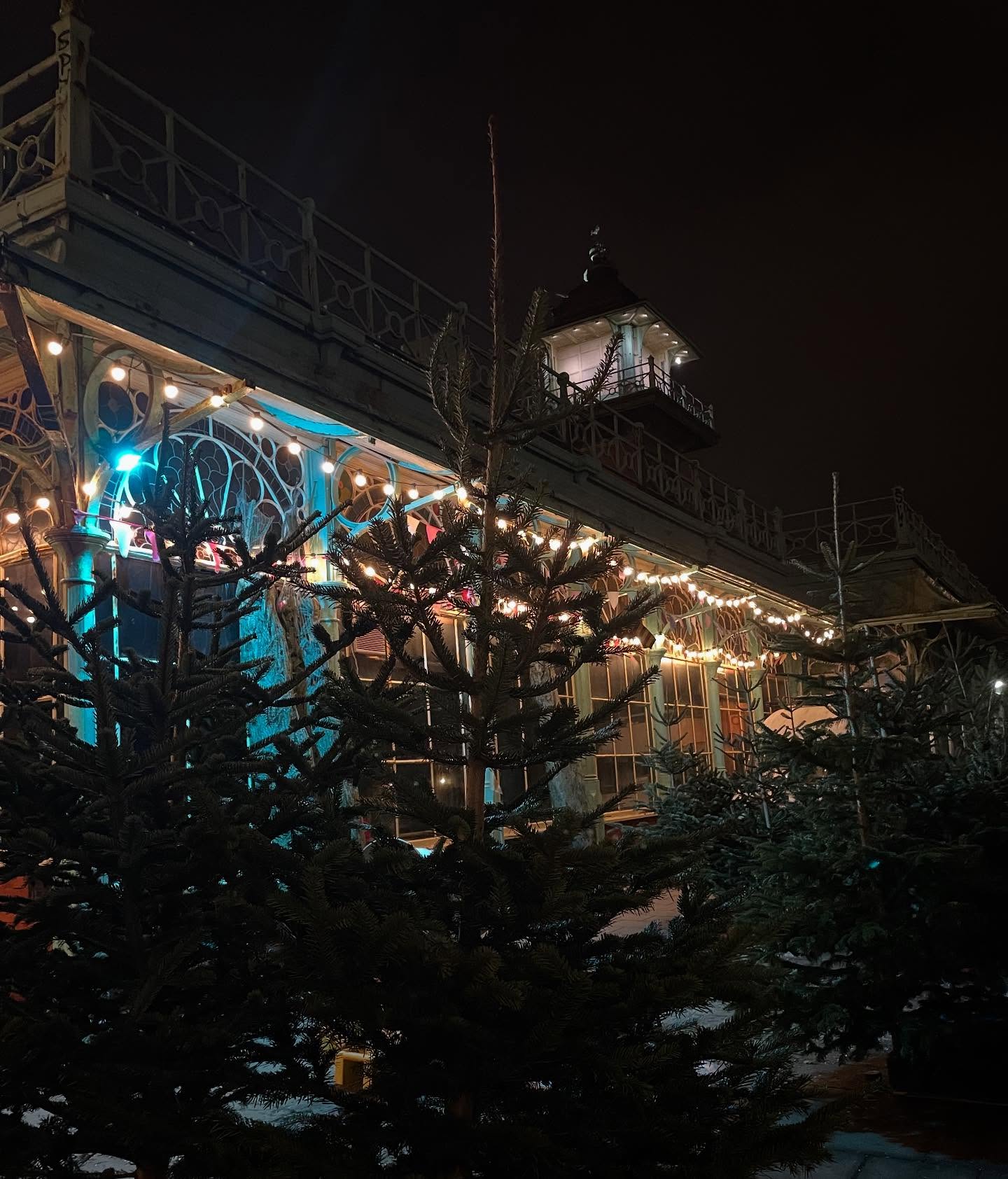 Our 10ft trees are back in stock! A very limited selection of smaller trees are available too 🎄 We’re at Concorde 2 every day this week until we’re sold out.