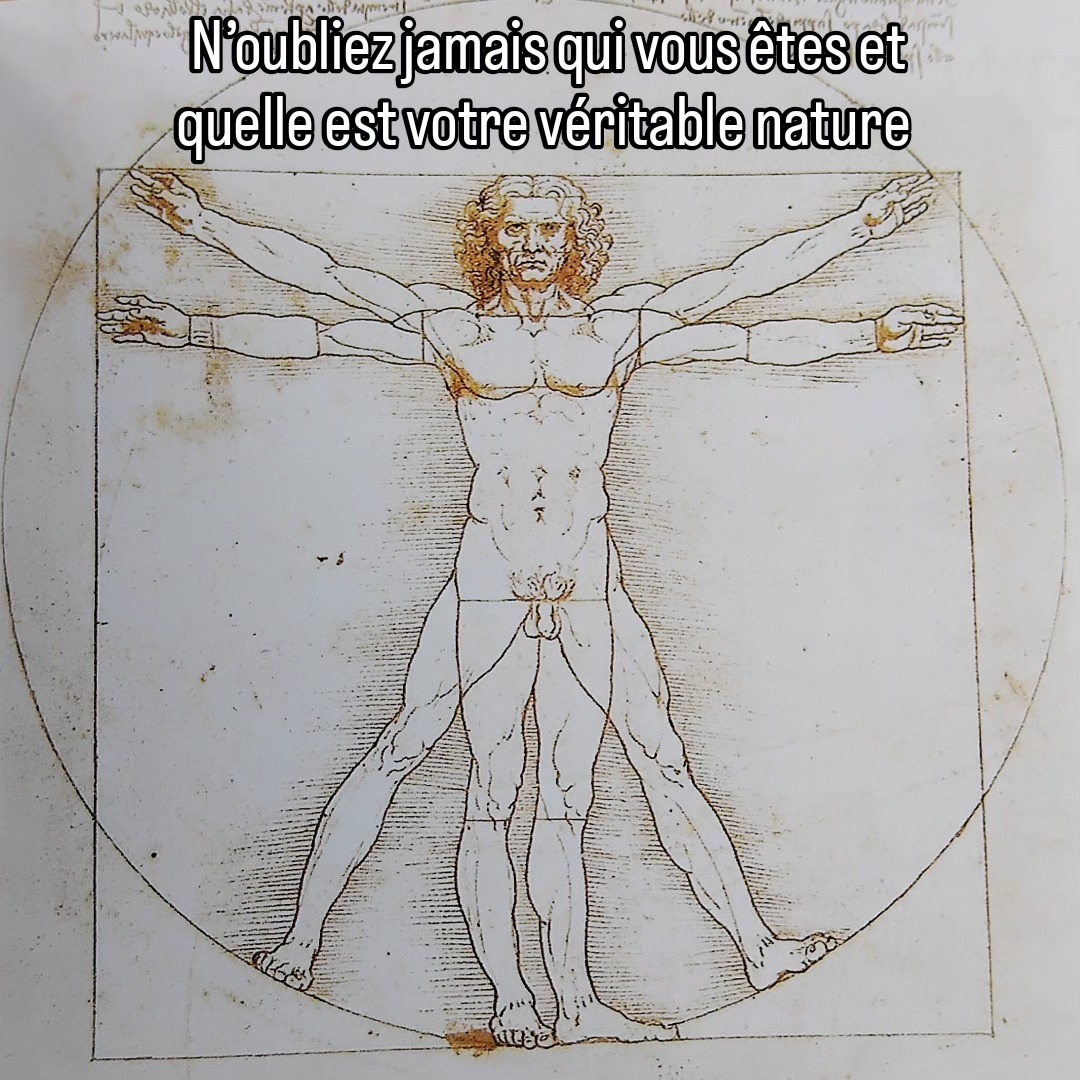 Ma vision est que notre véritable nature a besoin de Liberté, d’ Amour et de Créativité, nous avons chacun et chacune notre propre vibration
Nous sommes reliés à tout ce qui vit sur terre, au vivant que ce soit un animal, une plante, une pierre....
Se rappeler qui nous sommes vraiment,
c’est retrouver la paix intérieur et prendre conscience du précieux de la vie
Sandrine
#hommedevitruve
#précieuxdelavie #monmetiermapassion #gratitude #instantpresent #chamanisme #chemindevie #connexionspirituelle #bienetre #holistique #accompagnement #nature #pleineconscience #tambourchamanique #rituels