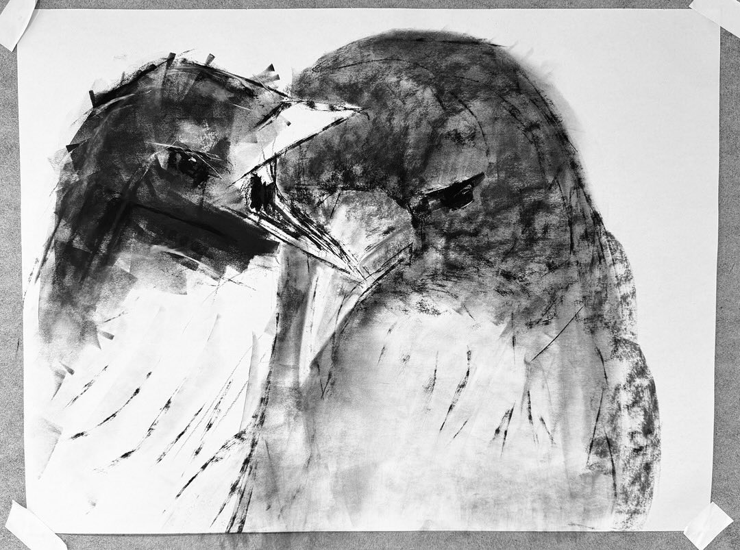 Big Talker
A morning media exploration —
water soluble oil paint, brayer, pan pastels
#crowdrawing #crowportrait #drawingsmatter
