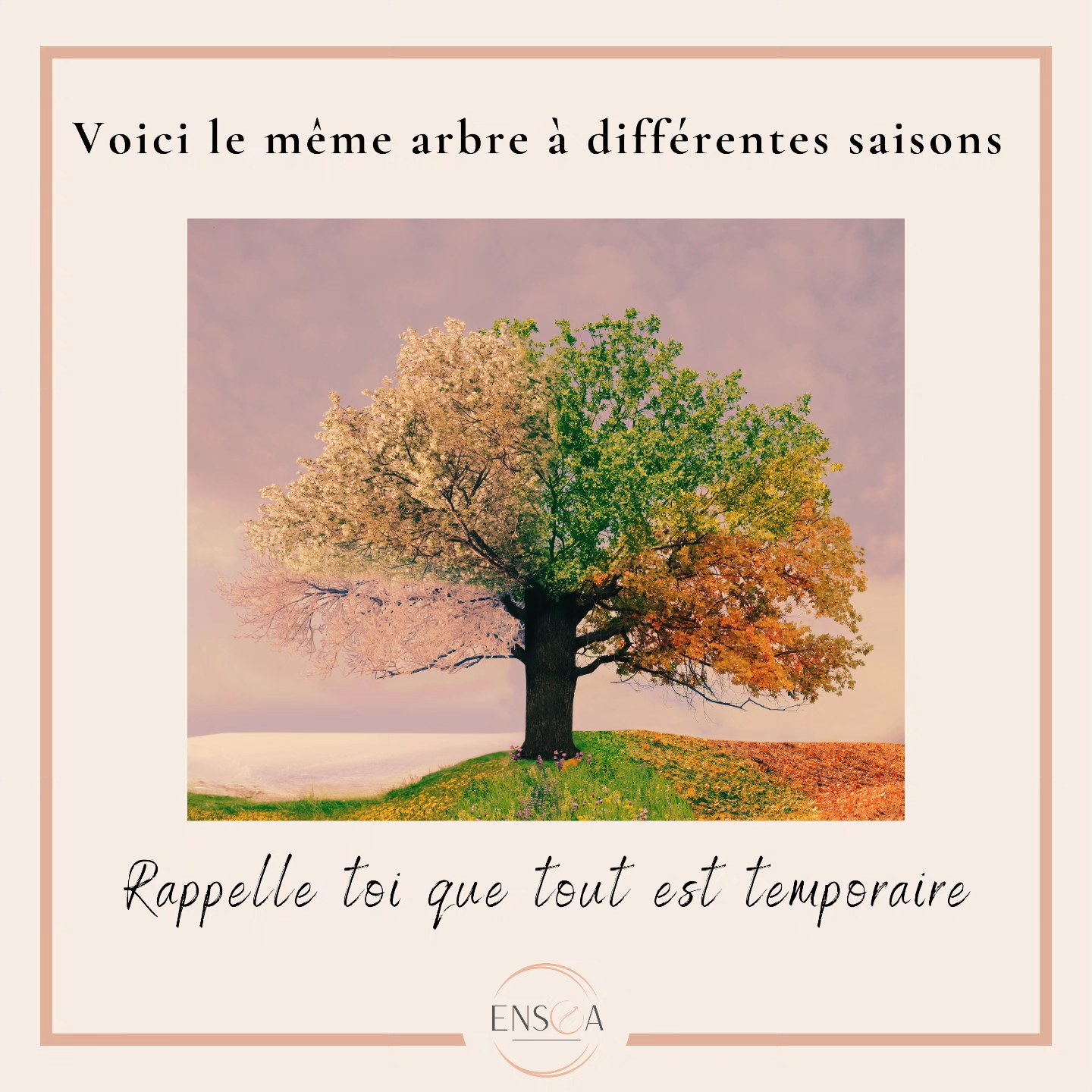 ❄️ Comme les saisons, tout passe. Les jours de pluie laissent place au soleil, l’hiver cède toujours au printemps.
🌳 Cet arbre continue d'évoluer et de grandir au fil des saisons qui passent.
☀️Comme cet arbre, peu importe le moment difficile que tu vis, ta douleur.. C'est temporaire et le soleil reviendra bientôt. ☀️
#Vivresesreves #action #bonheur #penseespositives #penseedujour #penseedusoir #decision #confianceensoi #changement #patience #changementdevie #developpementpersonnel #bienetre #prendresoindesoi #sophrologie #coaching