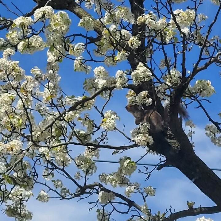 Happy Mother’s Day! You are an amazing woman whose nature and care for others makes this world so much better. I’m wishing you a day filled with joy, appreciation and gratitude, With Love, Michele