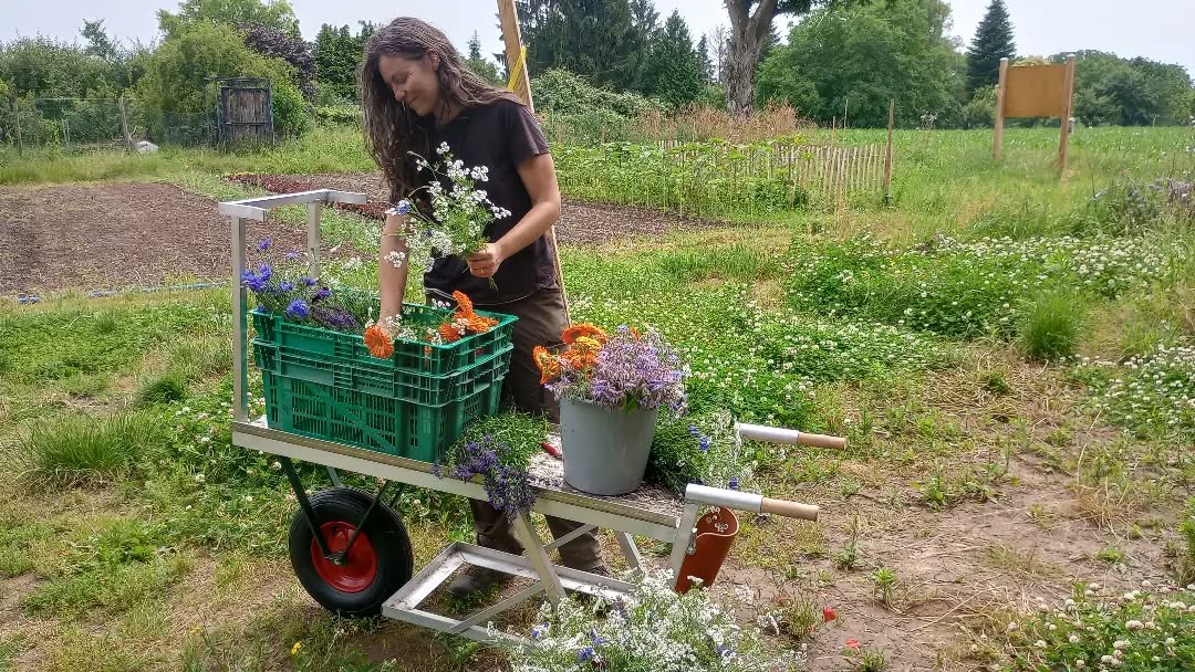 Es gibt uns noch 😅 wir sind vor lauter Arbeit etwas in der Versenkung (bzw. im Garten) verschwunden. Deshalb zumindest ein liebes "hallo" von uns 🌞