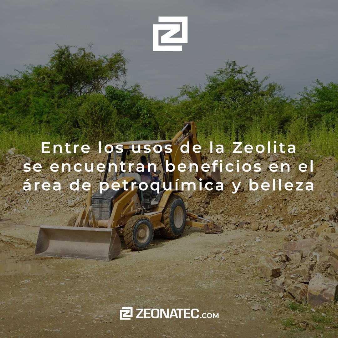 Repasamos los usos de la zeolita añadiendo 2 más en petroquímica y en el área de la belleza, no te pierdas nuestro blog en zeonatec.com/blog #ultimahora #mineria #agricultura #acuicultura #noticias