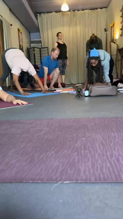 Premah school of yoga. Starting our training today with an internalizing practice. Eyed closed, feeling what the body needs.