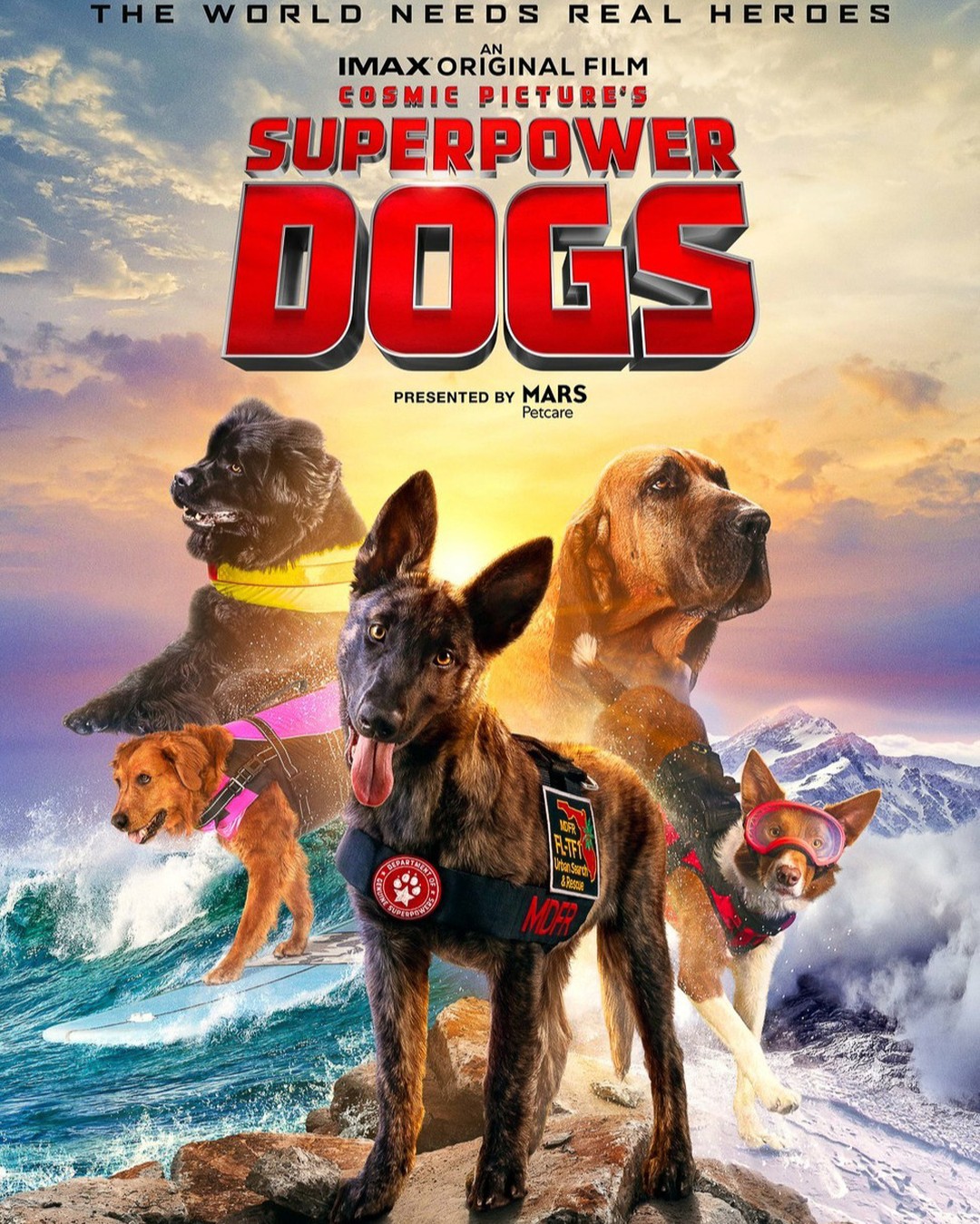 🇩🇪🇨🇭Superpower Dogs ist eine Reise rund um den Globus, auf der Du bemerkenswerte Hunde triffst, die Leben retten. Entdecke die starke Verbindung, die sie mit ihren menschlichen Partnern teilen. Begleite «Halo», einen Welpen, der auf eine Mitgliedschaft in einem der besten Katastrophenschutzteams Amerikas vorbereitet wird. Lerne «Henry» kennen, einen Experten für Lawinenrettung in den kanadischen Rocky Mountains, «Reef», einen Neufundländer bei der italienischen Küstenwache, «Ricochet», eine kalifornische Surferlegende, die Menschen mit besonderen Bedürfnissen hilft, und die Bloodhound-Brüder «Tipper» und «Tony», die sich für die Rettung bedrohter Tierarten in Afrika einsetzen.
Du wirst «den besten Freund des Menschen» nie mehr auf die gleiche Art betrachten, denn in diesem Film entdeckst Du die unglaublichen Fähigkeiten von Hunden und die verblüffende Wissenschaft hinter ihren Superkräften.
Es freut mich sehr, Chris Evans – dem Erzähler der Englischen Originalfassung und unter anderem «Captain America» Darsteller, für die Verkehrshaus Fassung, meine Stimme zu geben.
Vielen Dank an Ueli Thalmann für die, wie gewohnt, sehr angenehme Aufnahmesession.
Der Film läuft ab sofort im @verkehrshaus Filmtheater.
🇪🇸 La semana pasada se estrenó el documental "Perros Superpoderosos" el cine del museo de transportes de suiza. Ha sido un placer doblar el narrador Chris Evans en alemán y descubrir las increíbles habilidades de los perros y la asombrosa ciencia que hay detrás de sus superpoderes.
.
🇬🇧 Last week the movie "Superpower dogs" premiered in the cinema of the swiss museum of transport. It has been a pleasure to voice Chris Evans, the narrator in german and discover the incredible abilities of dogs and the amazing science behind their superpowers.