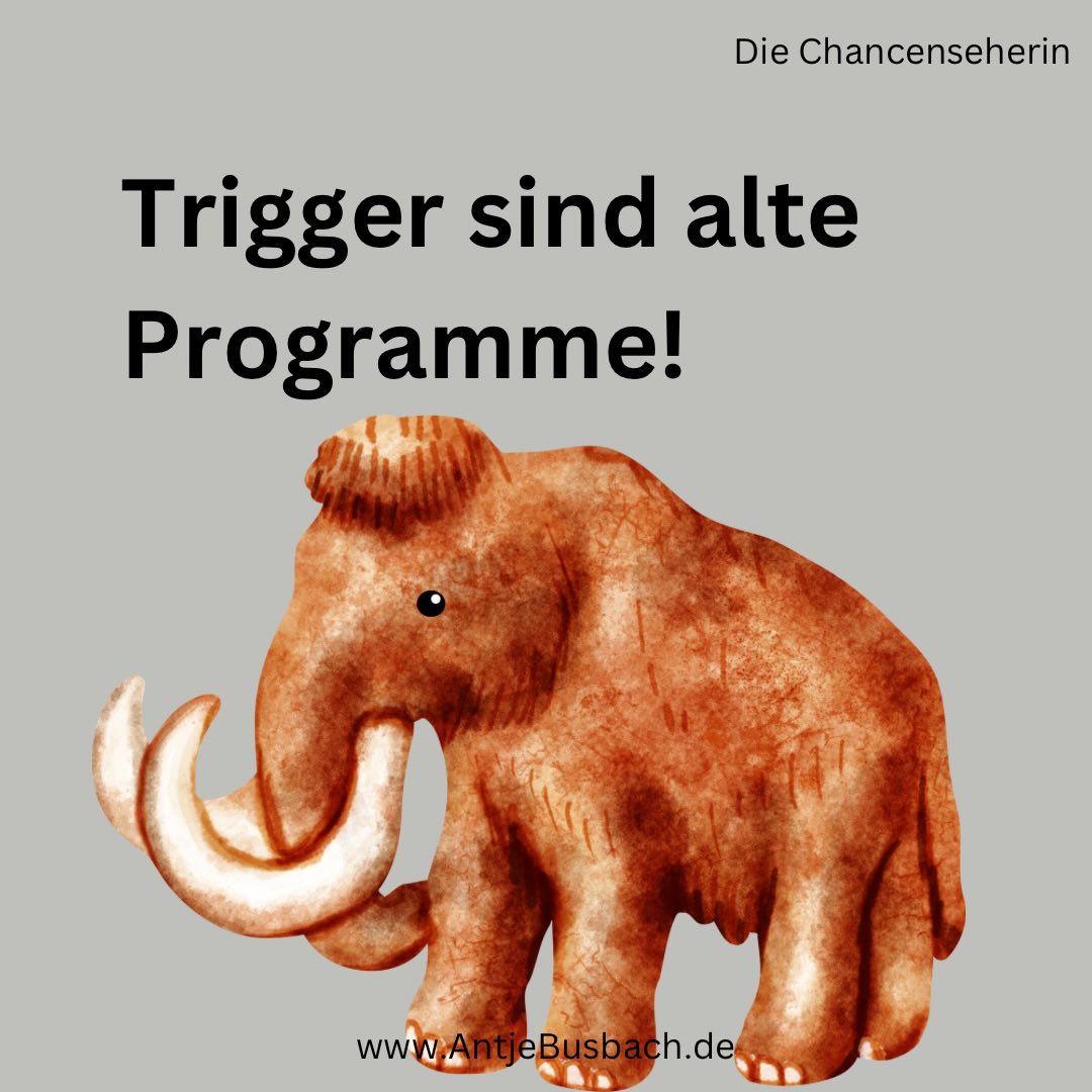 Trigger zeigen dir alte Schutzprogramme.
Nicht deine Schwäche.
Du darfst heute anders reagieren.
Du bist die wichtigste Person in deinem Leben.
Manchmal reicht ein einziger echter Moment – und du erinnerst dich wieder, wer du bist.
Deine Lebensqualität verbessert sich. Du wirst lebendig!
Herz über Kopf wieder leben. Direkthilfe in Krisenzeiten.
https://kurzlinks.de/wo23
Ich zeige dir wie du wieder in dein Strahlen kommst, trotz eines stressigen Alltags. Du lernst, wie du Krisen spielend meisterst, in dem ich dir meinen stärkenden Werkzeugkasten für Zuversicht und Lebensfreude an die Hand gebe, damit du ein rundum erfülltes Leben genießt.
* Der Beitrag war ein Augenöffner? Teile ihn doch in deiner Story und mit deiner Community!
* Speicher dir den Post ab, damit du immer wieder drauf zurückgreifen kannst.
* Der Beitrag gefällt dir? Dann gib mir gerne ein Like.
* Markiere die Person, die diesen Beitrag nicht verpassen darf!
Feel Freude und fühl Vergnügen
Antje Busbach - die Chancenseherin
#chancenseherin #AntjeBusbach #frauenimstress