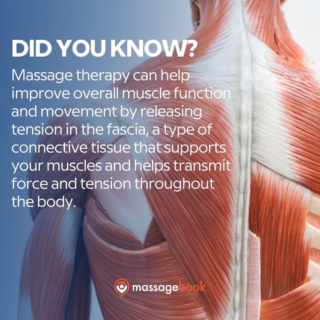 Tension in your shoulders and back? Book a massage today, your week is going to instantly improve! - https://mailchi.mp/c28d349dbe04/tension-in-your-shoulders-and-back