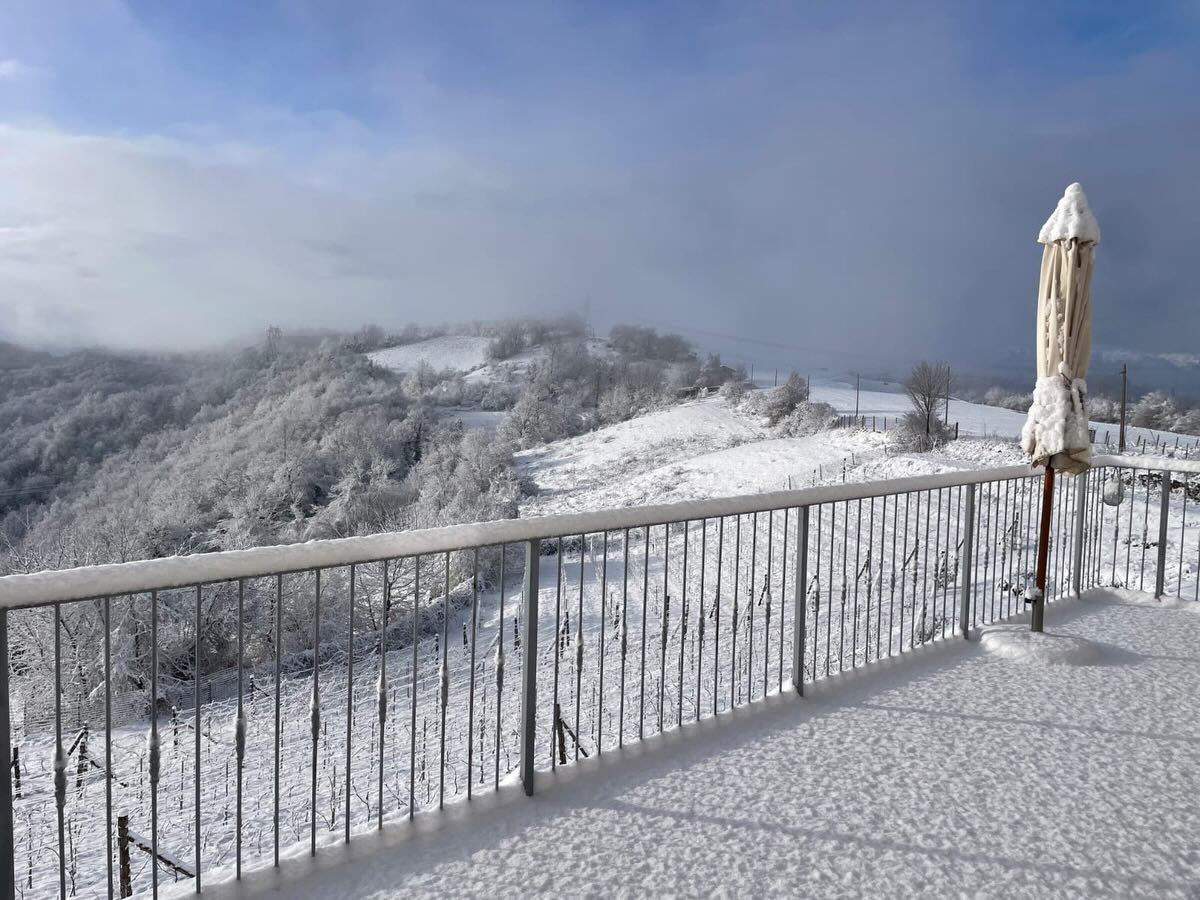 Giorni d’inverno nelle Langhe ❄️
Con la neve che copre tutto, questo è il momento di rallentare, riposare e mettere su carta le strategie per la prossima primavera ed estate.
Stiamo immaginando ciò che verrà, in attesa che il sole torni a scaldare i campi 🌱☀️
Nel frattempo, se vi va di passare per un aperitivo o di visitare il nostro shop, scriveteci in DM e organizziamo insieme.
Restate sintonizzati… il bello deve ancora arrivare.
——
Winter days in the Langhe ❄️
With everything covered in snow, this is the time to slow down, rest, and plan our strategy for the upcoming spring and summer months.
We’re dreaming about what’s next, waiting for the sun to shine on the fields again 🌱☀️
In the meantime, if you’d like to stop by for an aperitivo or visit our shop, send us a DM and we’ll be happy to organize it.
Stay tuned… the best is yet to come!