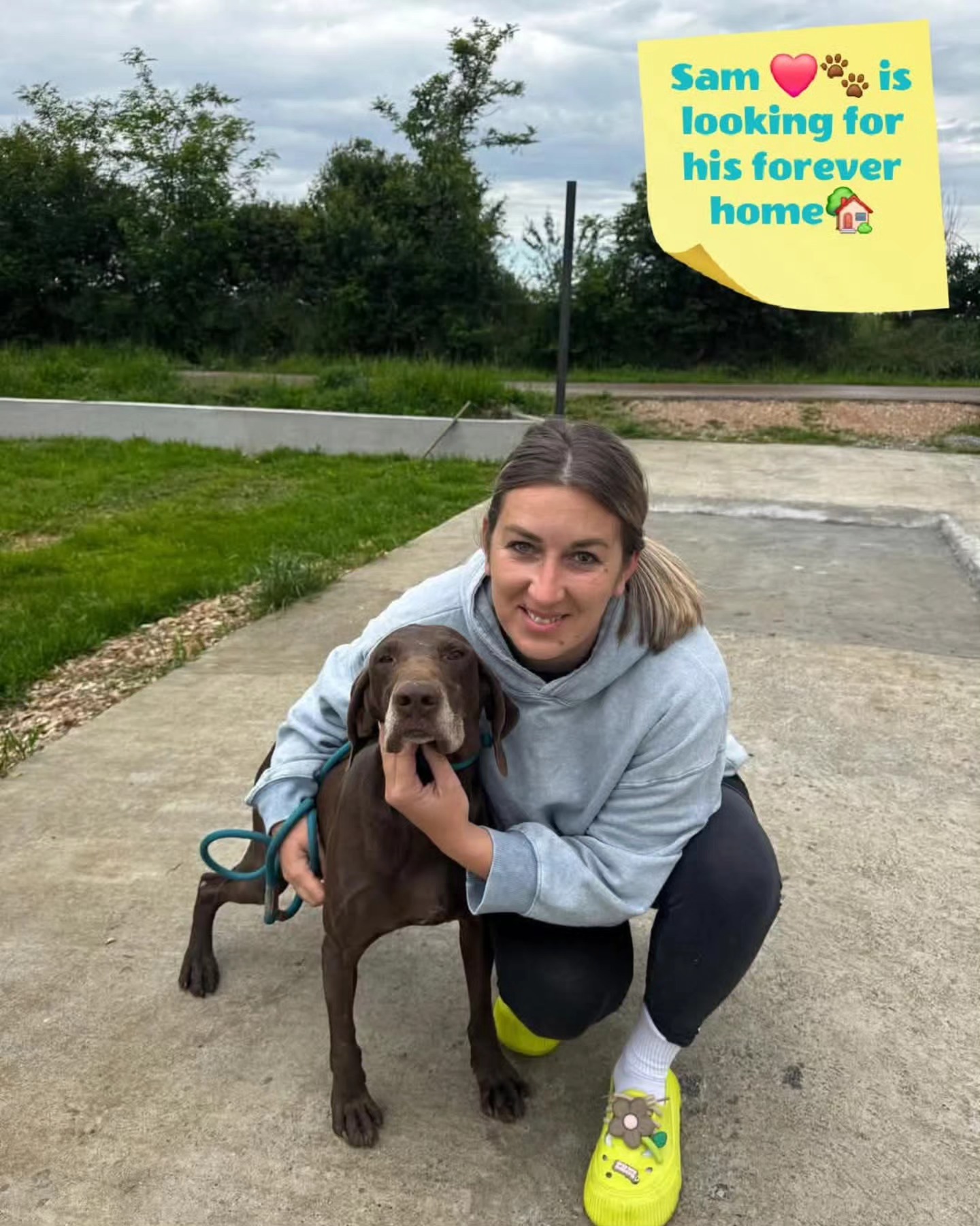 We want to thank you for your contribution
❤️🐾 Klok Brons
€5,00
❤️🐾Nelly Mahu
€15,00
❤️🐾 Noortje Noordermeer
€25,00
❤️🐾 Rene Neuburger
€100,00
❤️🐾 Jacqueline Ritzen
€10,00
❤️🐾 Debbie Jonkhart
€7,68
❤️🐾Minette Jacobs
€25,65
❤️🐾Patty Lippits - Charity auction
€400,00
❤️🐾Rahni Van der Schot
€10,26
❤️🐾Solvis
€20,00
Thank you very much for your wholehearted support💝
Contact via email: gsprescuehr@gmail.com
Website: https://www.gsprescuehr.com/nl/contact.
#dontshopadopt#gspoftheday #gspcommunity#germanshorthairedpointerlovers #germanshorthairedpointerlovers #pointerlovers #gspcommunity #pointerlove #germanshorthairedpointer #birddog #pointersofinstagram #gsprescue #gspworld #gsp #gsplife #gsploverig #gsplovers #gspsofinstagram #gspuniverse @lydia_lidach #rescuedog #rescuedogsofinstagram #rescuedismyfavoritebreed#deutschkurzhaar