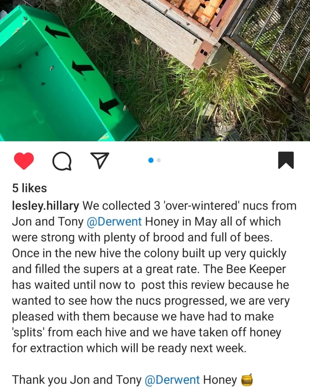 Great review for one of our overwintered nucs received! Always happy to find out they are doing so well.
#derwenthoney @lesley.hillary #bees #honey #overwinterednucs #localhoney #localbees #beefarm