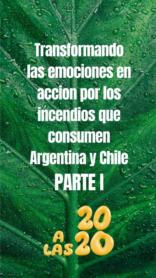Me quedé con las ganas de reactivar 20 a las 20, nuestra serie de lives ocasional en la cual exploramos diferentes temas desde el punto de vista animal. Pero instagram no me lo permite hasta que seamos 1000 personas en esta comunidad 🫠
Yo igual les quiero compartir la info asi que en este video y el próximo hablamos sobre las emociones que nos genera ser testigos de los incendios que consumen Argentina y Chile en este momento pero sobretodo, les comento qué podemos hacer al respecto.
En este video hablo de lo que podemos hacer a nivel individual para poner nuestro granito de arena y en el próximo lo que podemos hacer con nuestras comunidades, porque el cambio es entre todos 💪
#incendioschile #inclusionanimalendesastres #iadlatam #incendiosargentina #ayuda
