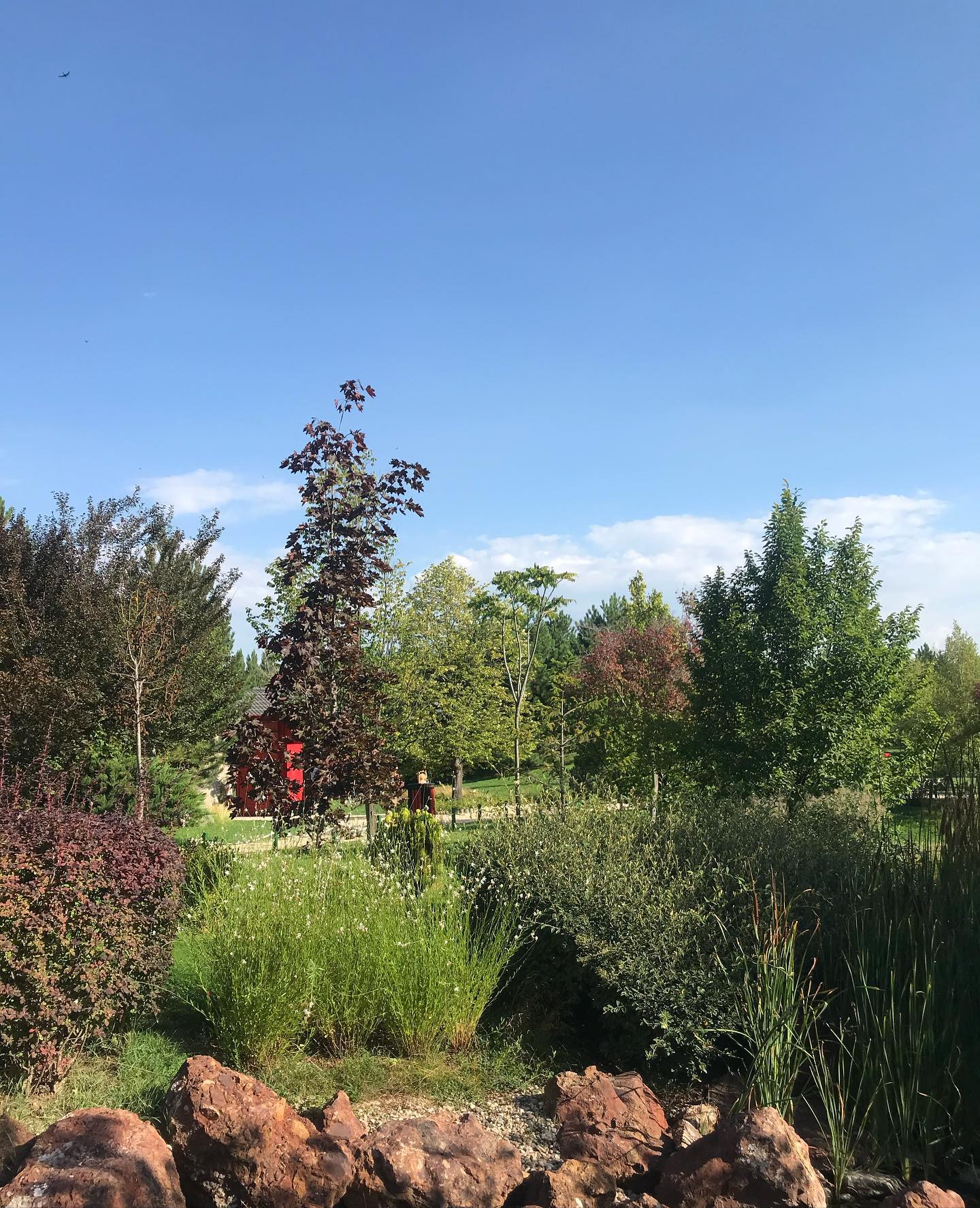 🌱Danışanların terapist seçerken dikkat ettiği noktalardan biri de; terapistin kişisel öyküsünün kendisiyle olan benzerliği olabiliyor.
🌱Evlilik sorunlarıyla ilgili bir terapist arayışında olan danışan, seçimini evli bir terapistten yana kullanabiliyor.
🌱Bir başka danışan, göçmen olma haliyle ve bulunduğu kültüre uyumlanmak ile ilgili sorunlar yaşarken, başka bir kültürden gelen bir terapistle çalışmak isteyebiliyor.
🌱Ya da çocukları olan bir terapistin kendisini ve çocuklarıyla olan sorunlarını daha iyi anlayabileceğini düşünüyor. Danışanların, terapistleriyle ortak yaşantılarının bulunmasına dair beklentileri bazen dini, bazen kültürel, bazen de olumsuz yaşam olayları üzerinden gerçekleşebiliyor.
🌱Ve bu beklentiler oldukça doğal ve anlaşılır. Çünkü dışardaki yaşamımızda da, kendimize ve deneyimlerimize benzettiğimiz kişilerle arkadaşlık kurma eğilimleri gösteriyoruz.
🌱İlişki kurarken karşımızdaki kişi ile ortak özelliklerimizin, ilgi alanlarımızın ve deneyimlerimizin olması o ilişkiyi başlatabilmek ve sürdürebilmek için kolaylık sağlıyor.
🌱Bu nedenle terapist seçerken de dışarıdaki yaşamımızda bize ilişki kurma konusunda kolaylık sağlayan ortak deneyimleri, kriterlerimizden biri olarak belirleyebiliyoruz.
🌱Ancak terapi, benzer demografik özelliklere sahip olmasak da sizlere eşlik edebileceğimiz, kendinizi keşfetme yolculuğunuzda birlikte yürüyebileceğimiz bir yol. Sizinle aynı sokakta, sizin ayağınızın takıldığı taşa takılmamış olabiliriz. Ama bu demek değildir ki, düşmek nedir bilmiyoruz. Hissettiklerinize eşlik edebilmek için, yaralarımızın aynı yerden olmasına gerek yok.
☘️Duygular evrensel. Anlamak için dinlemek ve sahici bir merak yeterli.
#psikoloji #terapi #terapist #psikolog #duygular #ilişkiler #psikoterapi