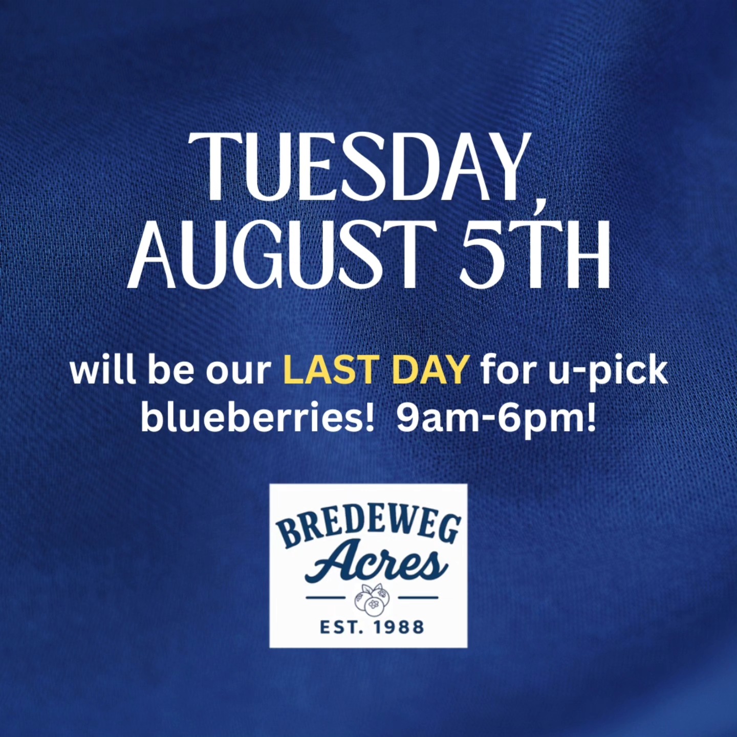 🚨 Farmer Roger says: “If you want blueberries, you better hustle! TUESDAY’s the grand finale!” 🫐⏳ TUESDAY 8/5 is our LAST DAY for upick at Bredeweg Acres!
The berries are still plump, the fields are open, and Roger’s already eyeing his Christmas trees… 👀🎄
One more day to get your fill of TRUE BLUE summer in a bucket & Farmer Roger wit — so come make it count!
📍Stevensville, MI | ⏰ Open 9am–6pm
#LastCallBlueberries #BredewegAcres #FarmerRogerSaysPickEm #BlueberryFinale #UpickBlueberries #TrueBlueSeason #StevensvilleMI #BerriesAndBoughs #MichiganBlueberries