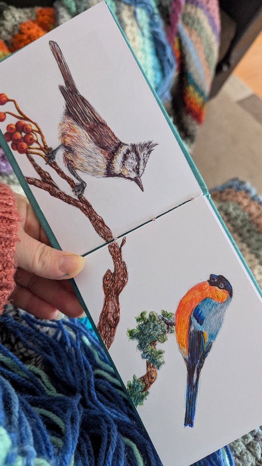 Ich habe es geschafft, eine weitere Skizzenbuch Seite ist gesketcht. Ich liebe es mit Kugelschreiber diese kleinen vogelstudien zu skizzieren.
Wollt ihr in einem YouTube Video sehen, wie ich Kuli benutze?
Hätte da total Lust dazu, euch meine Vorgehensweise bei den nächsten Vögelchen zu zeigen. Schreibt es mir gern in die Kommentare ob und falls ja, welchen Vogel im Prozess ihr sehen wollt.
#penart #sketchbook #animalsketch #birdsketching #myownartology