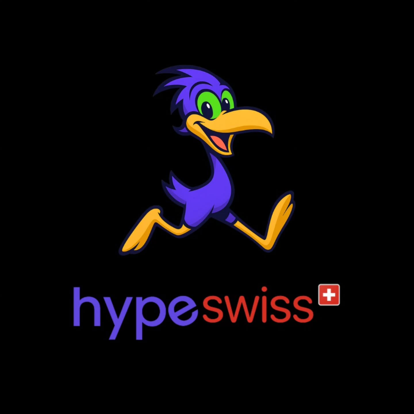 We deliver telecom, surveillance, and retail POS solutions as a complete service: we select the best market options, deploy hardware + software, and keep everything running with 24/7 support. Hype Soft Switzerland 022 404 05 55