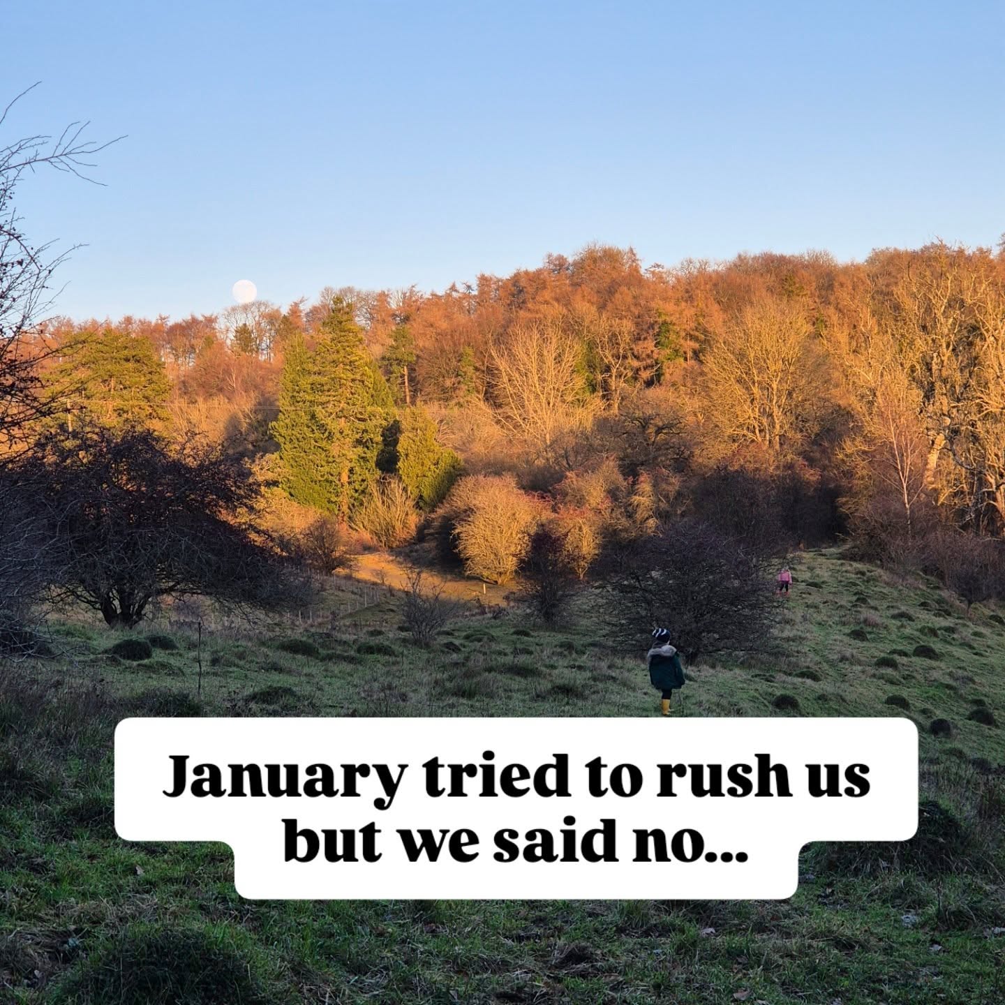 In a world that demands a "sprint" the moment the calendar flips to January, we chose a different pace for Misneach Remedies. We chose balance.
This month wasn’t about the hustle; it was about the harmony between a growing business and a grounded life, something I am aiming for more this year.
It looked like:
Market days balanced with long, crisp family walks to clear the head. 🌲
A consistent trickle of orders (which I am so incredibly grateful for!) met with slow evenings of family games and getting lost in a good book. 🎲📖
The "boring" Wins: Finally carving out a dedicated space at home for paperwork and getting the full 2026 calendar mapped out. There is so much peace in being organised! 🗓️
Innovation: Launching my new waterproof diffuser labels—small details that make a big difference. 💧Alongside my car diffuser refills.
The best parts? Stroud Farmer's Market x3 this month and Every single one of my stockists reordered this month, with one even expanding their range. Plus, I've secured a new teaching workshop in yet another stunning location (Whatley Manor) 🌿
We rounded it all off with a trip to North Yorkshire—the perfect end to a month that taught us we don't have to rush to grow. 🏔️
How will you protect your energy in February?
Shop online or join me for a workshop this year (links in bio).
#MonthInReview #January2026 #SlowStart #IntentionalLiving #ReflectivePractice