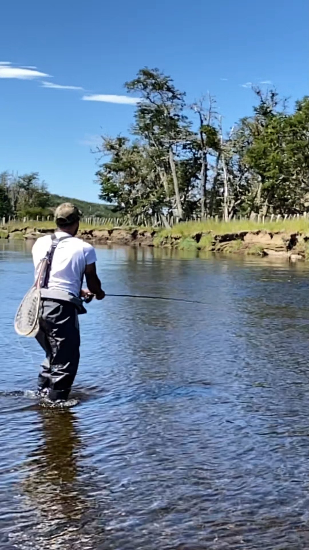 El Fly Fishing es nuestra forma de dialogar con el agua. Junto a @greyfox_outdoor, promovemos una práctica deportiva que prioriza la salud de cada especie y su entorno. Para nosotros, el éxito no reside en la captura, sino en la comprensión del río como un sistema vivo que protegemos para las futuras generaciones.
#FlyFishing #PescaConMosca #GreyfoxOutdoor #PescaResponsable #Conservacion #RiosVivos #CapturaYLibera #FuturasGeneraciones
-----------------------------------------------------------------------
Fly fishing is our way of having a dialogue with the water. Together with @greyfox_outdoor or, we promote a sporting practice that prioritizes the health of every species and its environment. For us, success does not lie in the catch, but in understanding the river as a living system that we must protect for future generations.
#FlyFishing #RiverConservation #GreyfoxOutdoor #SustainableFishing #CatchAndRelease #KeepFishWet #LivingRivers #AnglingHeritage
