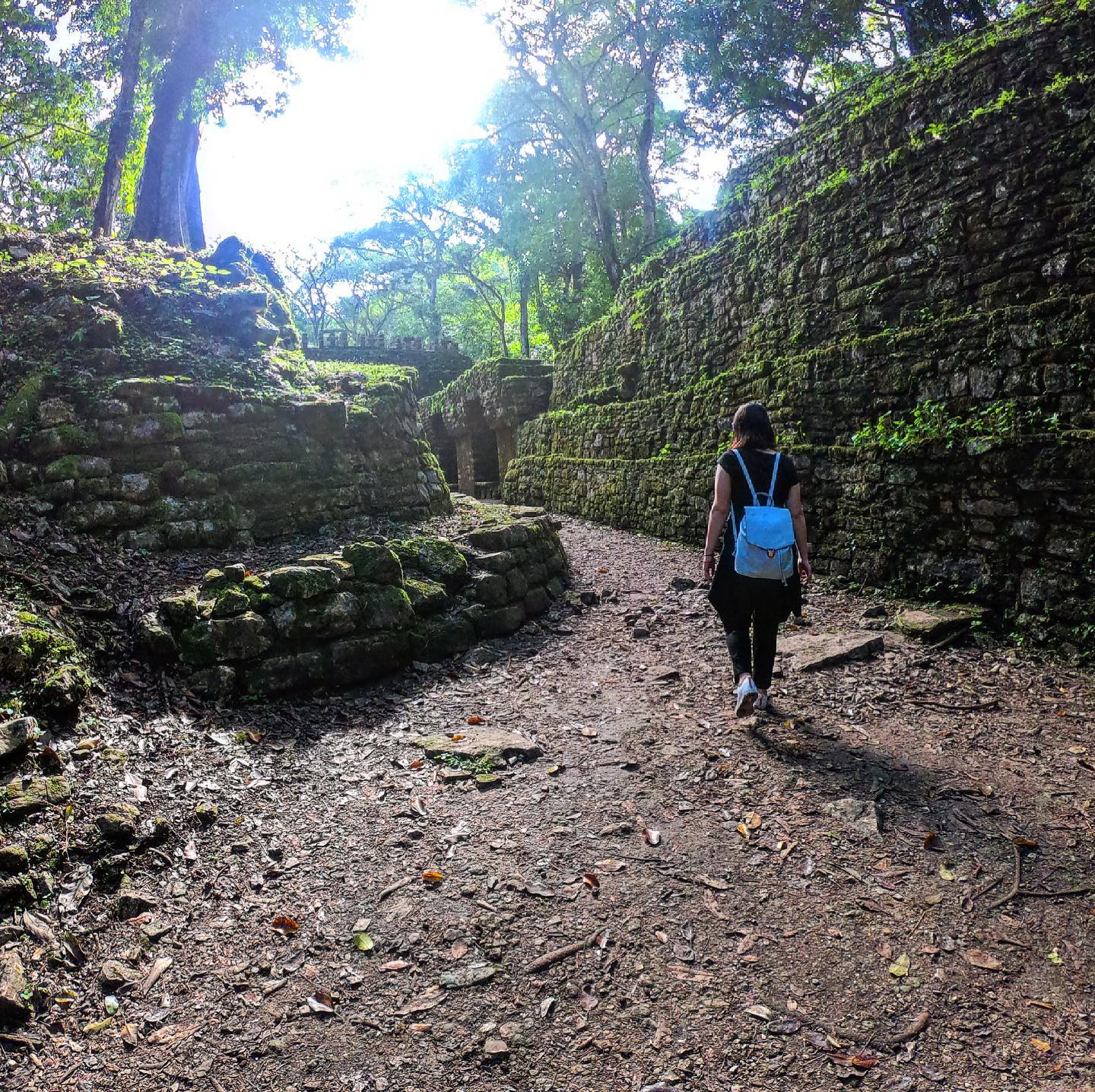 Explorando rincones
.
.
.
.
.
.
.
.
#vidamexico #mexico #mexicolors #yaxchilan #travel #travelphotography #travelblogger #mexicagico #mexicotravel #yaxchilan #chiapas #roadtrip #visitmexico @sectur_mx @igerschiapas