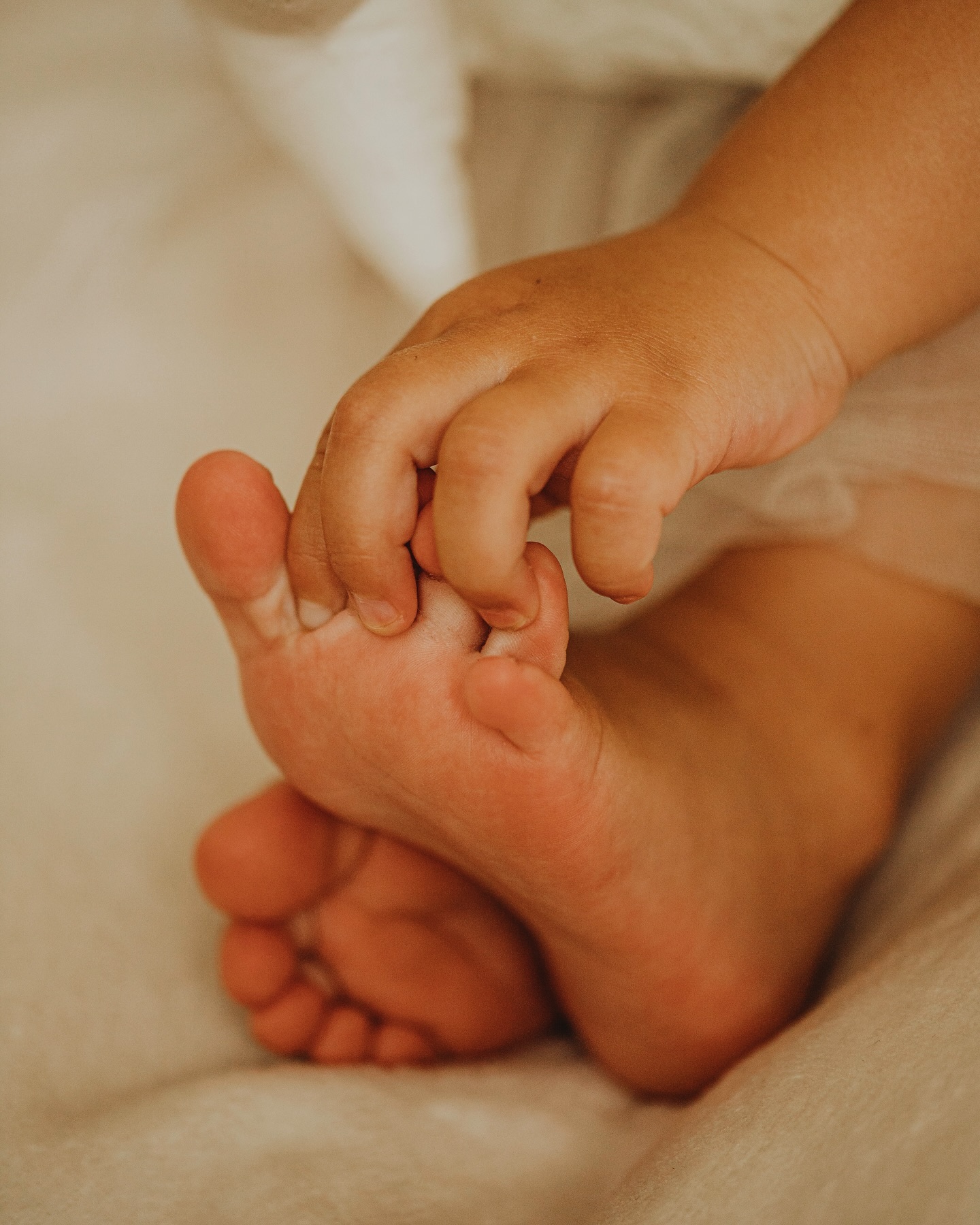 Ich liebe es auch toddlers zu fotografieren, am liebsten mag ich sie wild und frech 😂 natürlich sind solche Shootings nicht immer einfach, aber sie machen mir so viel Spaß. Vielleicht weil ich mich in ihnen selbst wiedererkenne 😂 Kinder kann man generell schwierig hinsetzen und erwarten, dass sie ewig lange lachend in die Kamera gucken. Das wäre auch nicht natürlich. Kinder sitzen nicht, sondern sie entdecken, sie wirbeln herum, sie sind wild und manchmal laut und ich habe größte Freude all diese Charakterzüge für euch einzufangen. Ich rolle mich in den Shootings mit ihnen über den Boden, starte Kitzelattacken und bin ganz albern- ich LIEBS einfach! Ihr bekommt authentische Momente für immer dokumentiert, was gibt es Schöneres. Und manchmal, wenn wir das Gefühl haben, sie sind ganz schön groß geworden, zeigen sie auch sanfte Momente. Sie kommen zum Kuscheln oder spielen plötzlich wieder an ihren Füßen herum, um sich zu selbst zu beruhigen. Und auch wenn sie dann schon 2 Jahre oder noch älter sind, ist es einfach nur süß und eine schöne Erinnerung 🥹
Habt einen schönen Dienstag und seid feste gedrückt,
Eure Marion