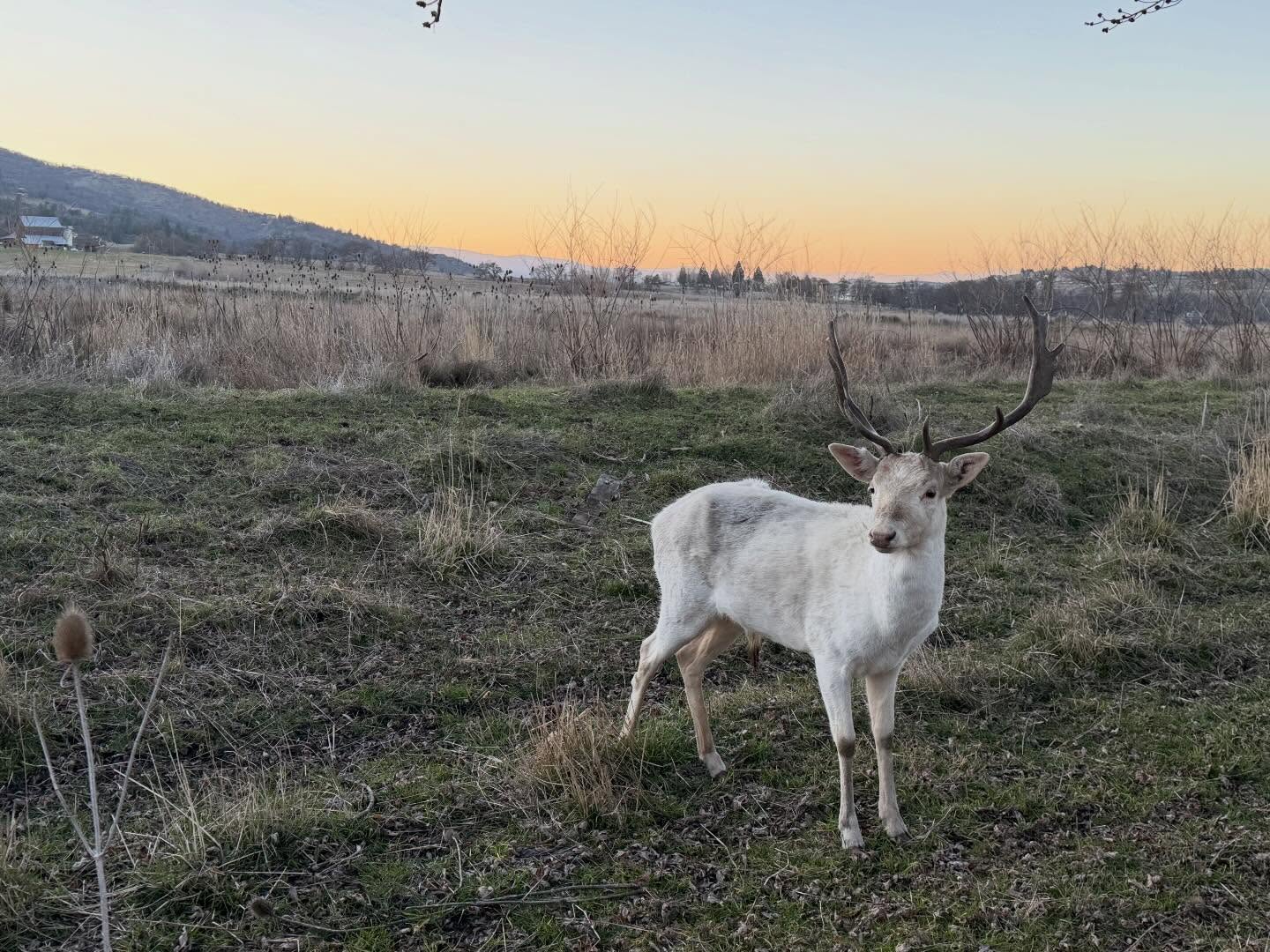 In these times I see signs. If you see them send a warm smile, tell them your door is open, that you are there for them, offer your presence, food & strawberries if you have them🍓 the door is open just walk through. . . Wake up . . .