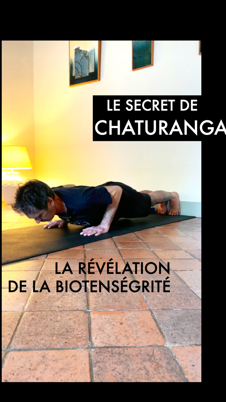 LA PUISSANCE SANS LA FORCE : LE SECRET DES POUSSÉES 🔥
À 72 ans, Serge ne « monte » pas dans cette posture par la force des bras ou des abdos.
Ce que vous voyez dans cette vidéo, c’est la mise en place d’une architecture vivante : la biotenségrité.
Dans l’aplomb, on ne cherche pas à « tenir » contre la gravité, on apprend à s’organiser avec elle.
En utilisant le mur, on révèle ce qui change tout : la rencontre des poussées.
Pourquoi utiliser le mur pour apprendre Chaturanga ?
• Zéro verrouillage : Au lieu de durcir le ventre, on repousse le mur avec les talons et le sol avec les mains. Cette opposition crée une suspension naturelle.
• Stabilité gratuite : Ce n’est plus le muscle qui porte, c’est l’os qui est soutenu par le maillage transverses-obliques. C’est le secret pour ne plus trembler.
• Liberté respiratoire : Parce que le corps est « en place » et non « raide », le diaphragme reste libre. On peut habiter la posture avec une respiration libre.
• Stira Sukham : C’est l’incarnation de ce sutra : une fermeté (Stira) qui n’exclut jamais l’aisance (Sukha).
✨ Sortez du paradigme de la force brute. Entrez dans celui de la structure biotensègre.
📖 Pour comprendre la science derrière ce maillage et pourquoi le verrouillage abdominal vous freine, lisez notre dernier article : « L’ILLUSION DU GAINAGE ».
Notez GAINAGE en commentaire pour le recevoir directement !
#YogaTherapie #Chaturanga #Biotensegrite #Gainage #YogaFrance