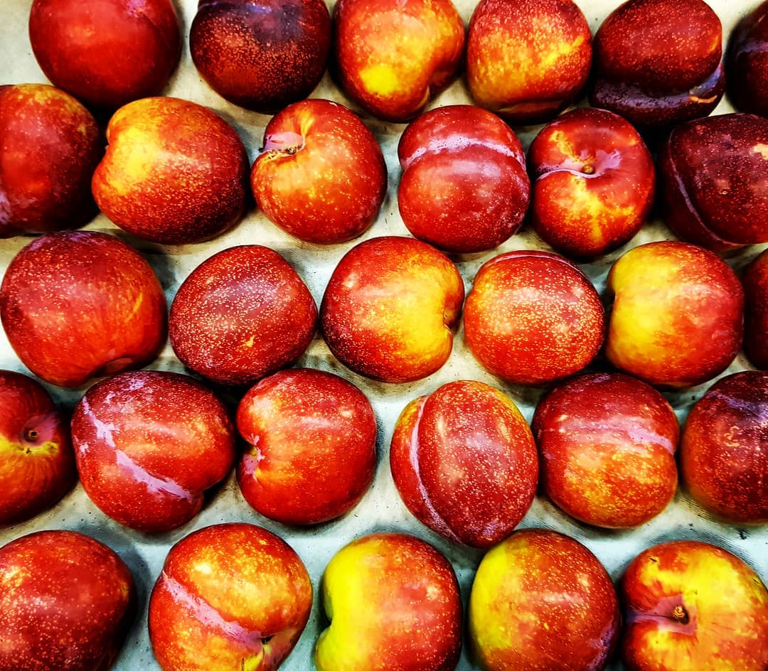#pflaumen #plums #southafrica #southafrican #fruit #fruits #frutarian #sweet #fresh #freshness #wholesale #hamburg #germany #healthy #healthyfood #foodblogger #foodie #food