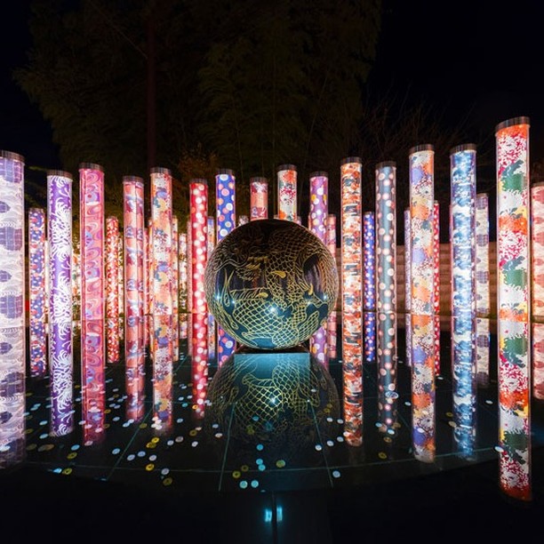 Kyoto is one of my favorite cities in the world. I used to live there, so I still consider it my second home.
On my Talefeathers blog I write about 5 unique things to do there. The first is Arashiyama's bamboo groves. But don't walk — bicycle! You can see a lot more of it.
And if you time it right, you'll head to dinner when it's dark so you can see this Kimono Forest art installation. Be sure to pray to the dragon for good luck and safe travels — especially this year, since 2024 is the Year of the Dragon!
Check out my website, subscribe to my blog, and contact me to book your next dream vacation!
#traveladvisor #travelagent #travelagency #DreamBigTellTheTale #adventuretravel #asiatravel #visitjapan #arashiyama #kimonoforest