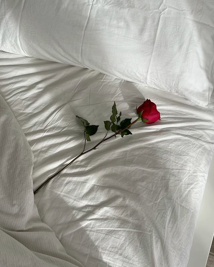 Marché de l’Amour 🌹
On vous retrouve dans une ambiance douce et chaleureuse pour un week-end placé sous le signe de l’amour. ❤️
Vous y trouverez nos créations mais aussi nos coffrets en collaboration avec @pralinechocolaterie : le duo parfait à offrir. 🍫
📍 Salle des quais de Grandson
🗓️ Samedi 7 & dimanche 8 février
⏰ 10h – 18h
Et samedi, la boutique reste ouverte.
#slowlife #marchedelamour #bougiesartisanales #ideecadeau #faitmain