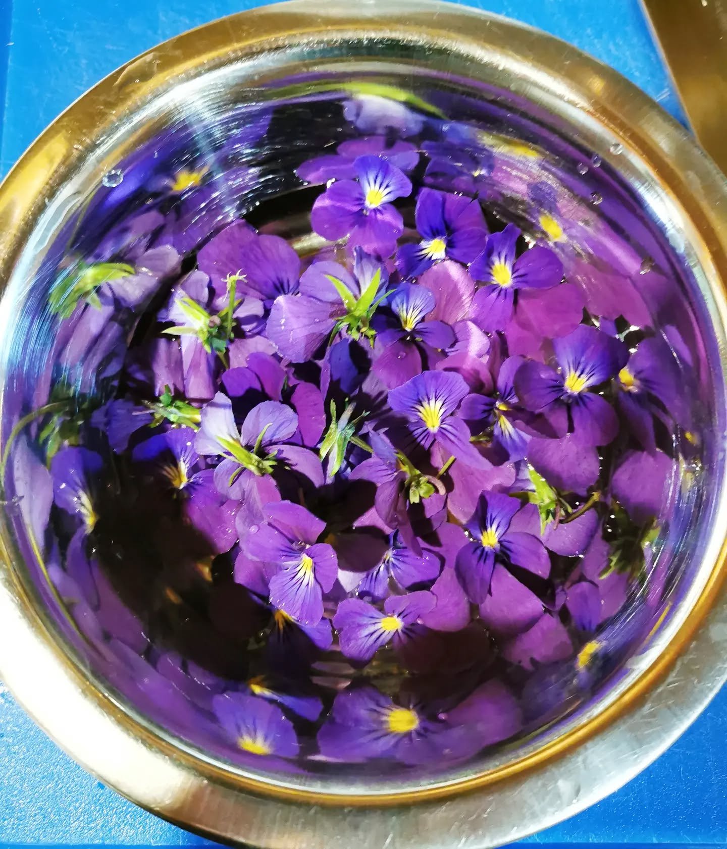 In my kitchen. Je cuisine l'abondance de fleurs du printemps avec gratitude. Ces jolies pensées à ceuilir sans modération. 💜
#naturelove #springtimeinthekitchen #auclairdelasource #montagneardechoise #Lanarce