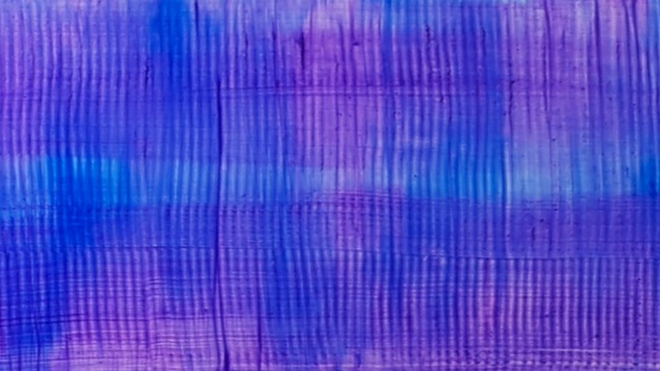 Shift painting on aluminium panel
125cm long x 20cm high #vibrantcolour #bluepainting #lovecolour #juliabrooker