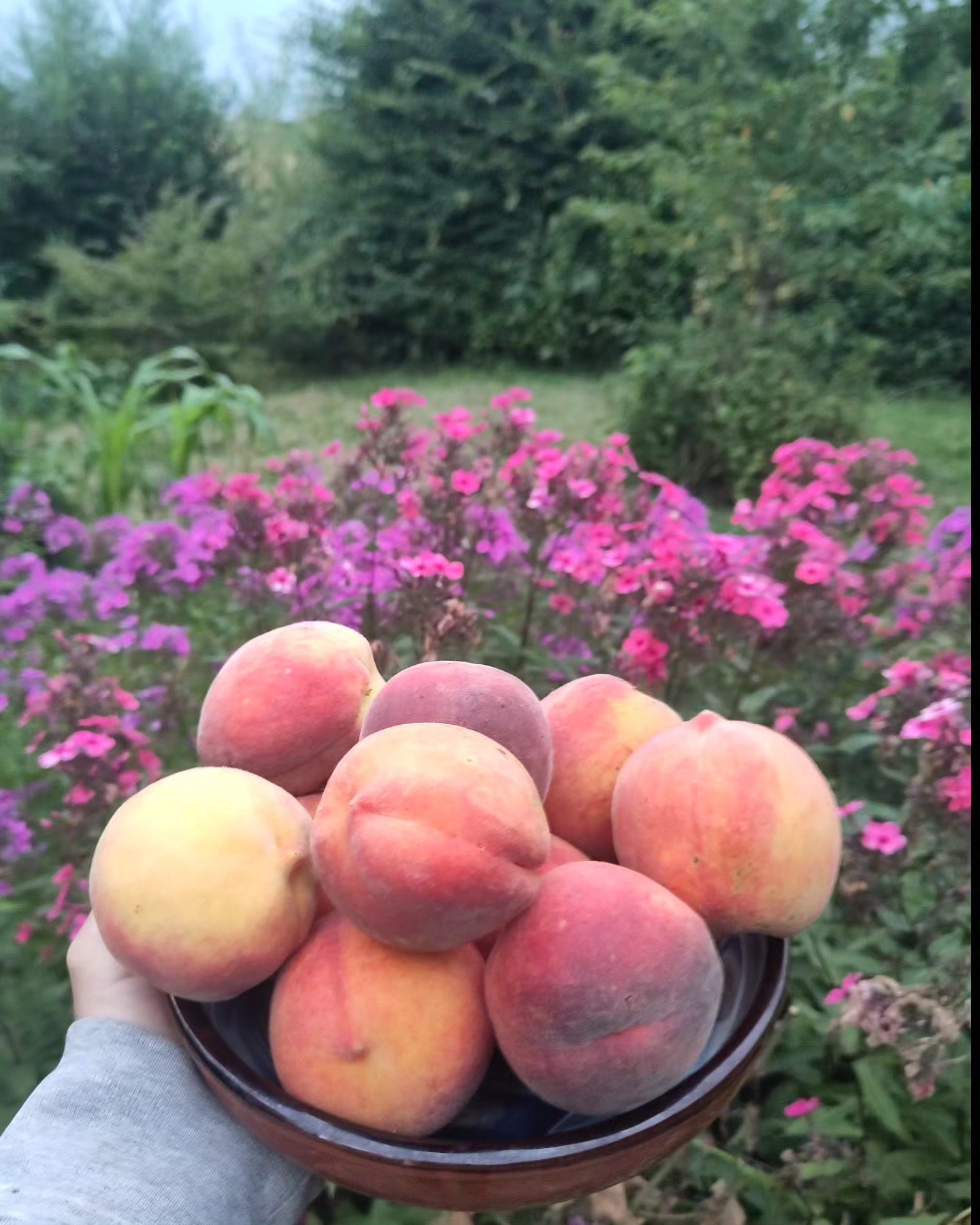 Home sweet home peaches. Savourons l'été. 💙🍧🌊🔥
#onset #summersweet #catering #foody